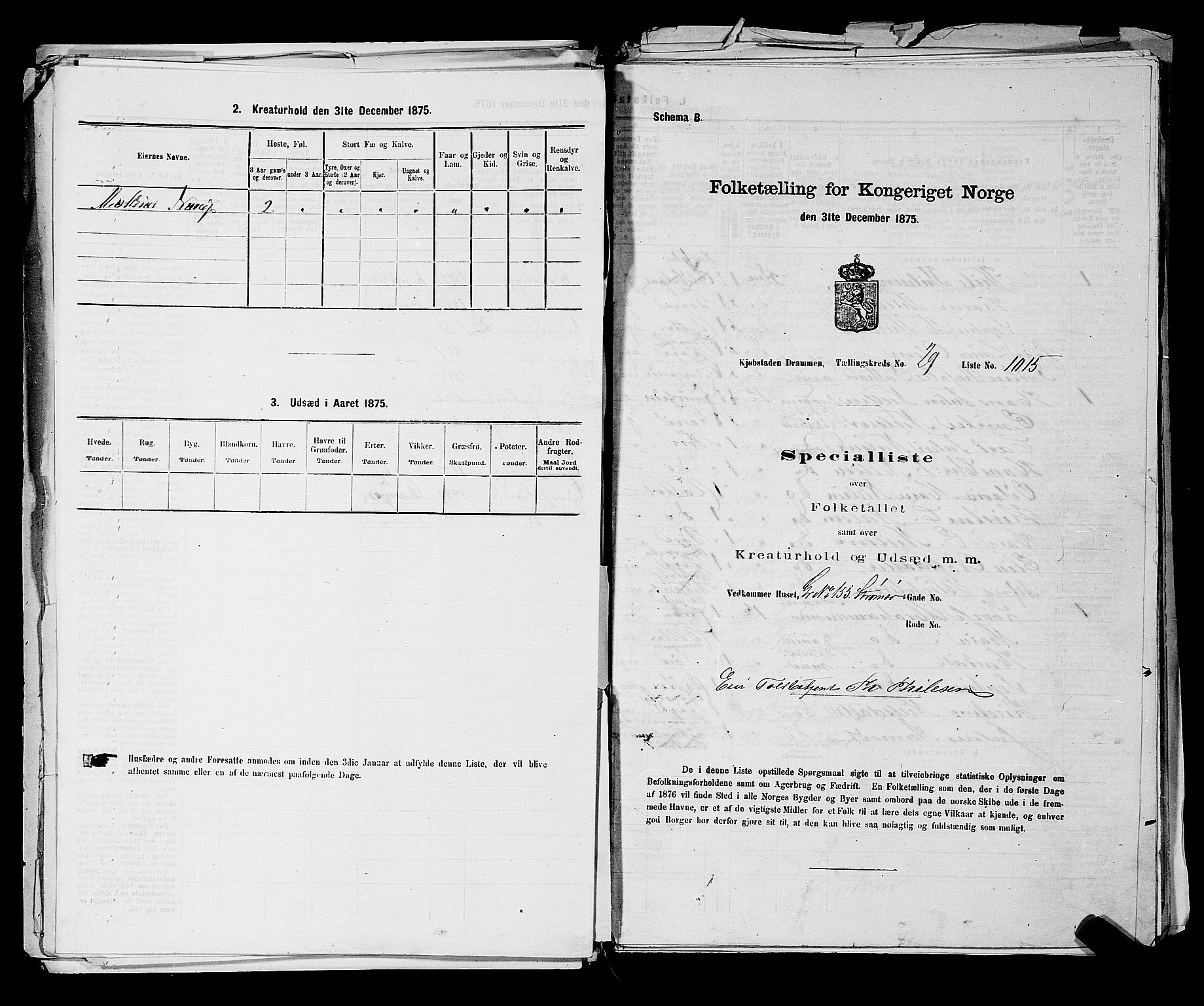 SAKO, 1875 census for 0602 Drammen, 1875, p. 2731