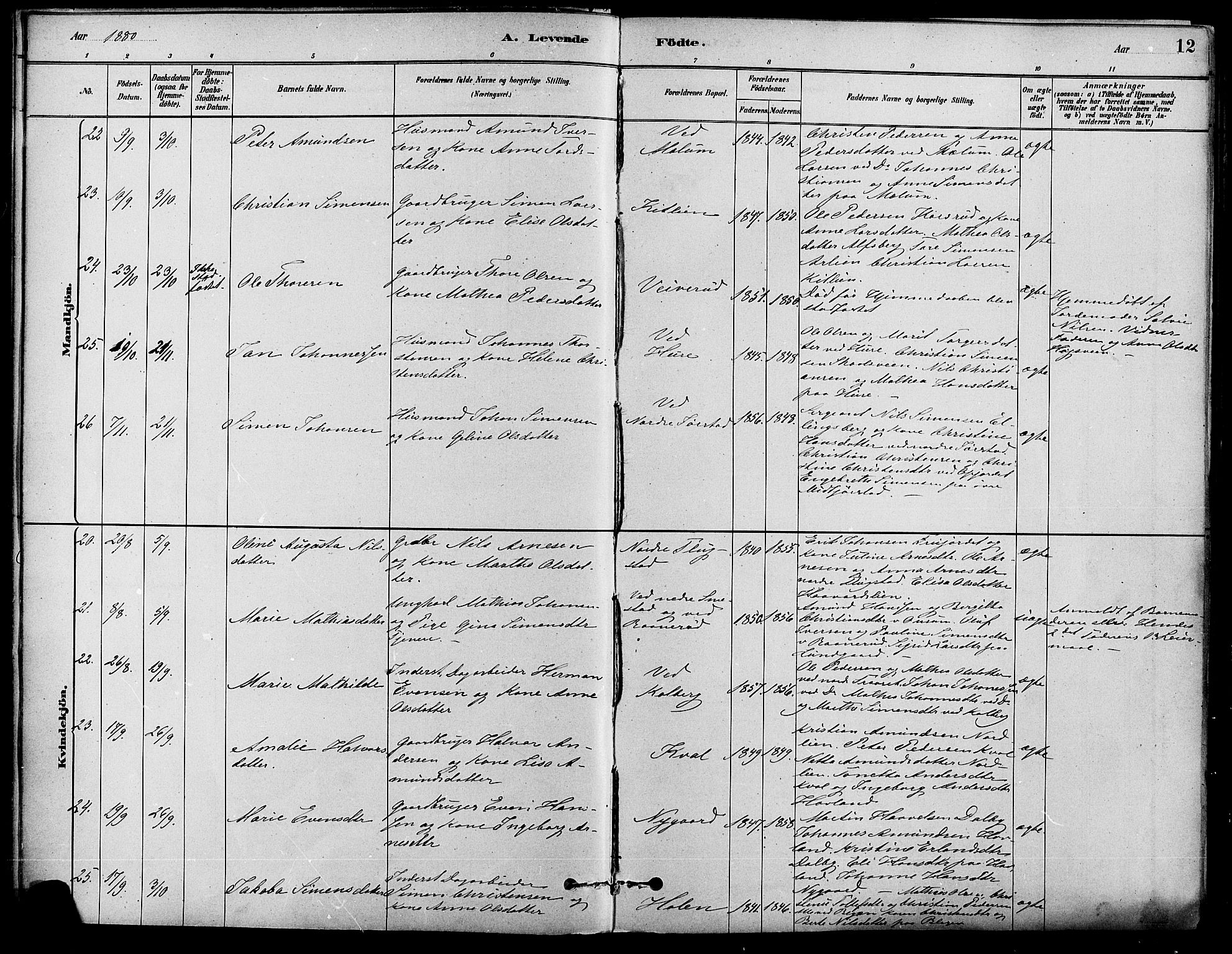 Fåberg prestekontor, AV/SAH-PREST-086/H/Ha/Haa/L0008: Parish register (official) no. 8, 1879-1898, p. 12