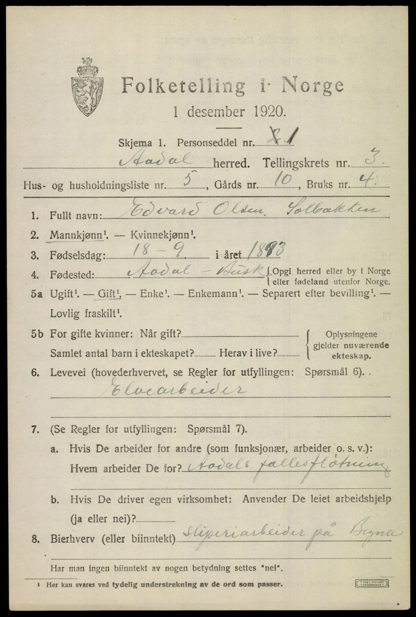 SAKO, 1920 census for Ådal, 1920, p. 3004