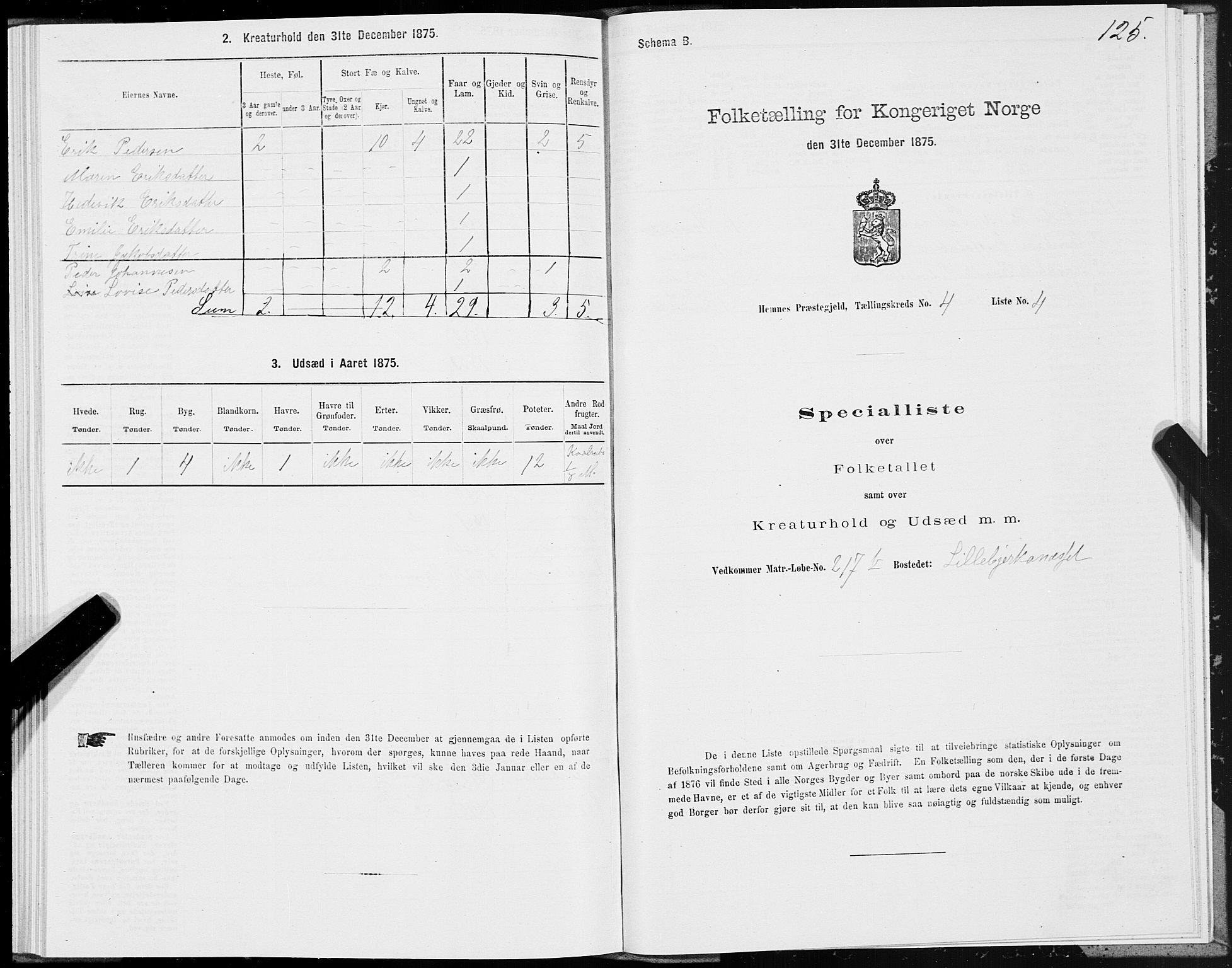 SAT, 1875 census for 1832P Hemnes, 1875, p. 3125