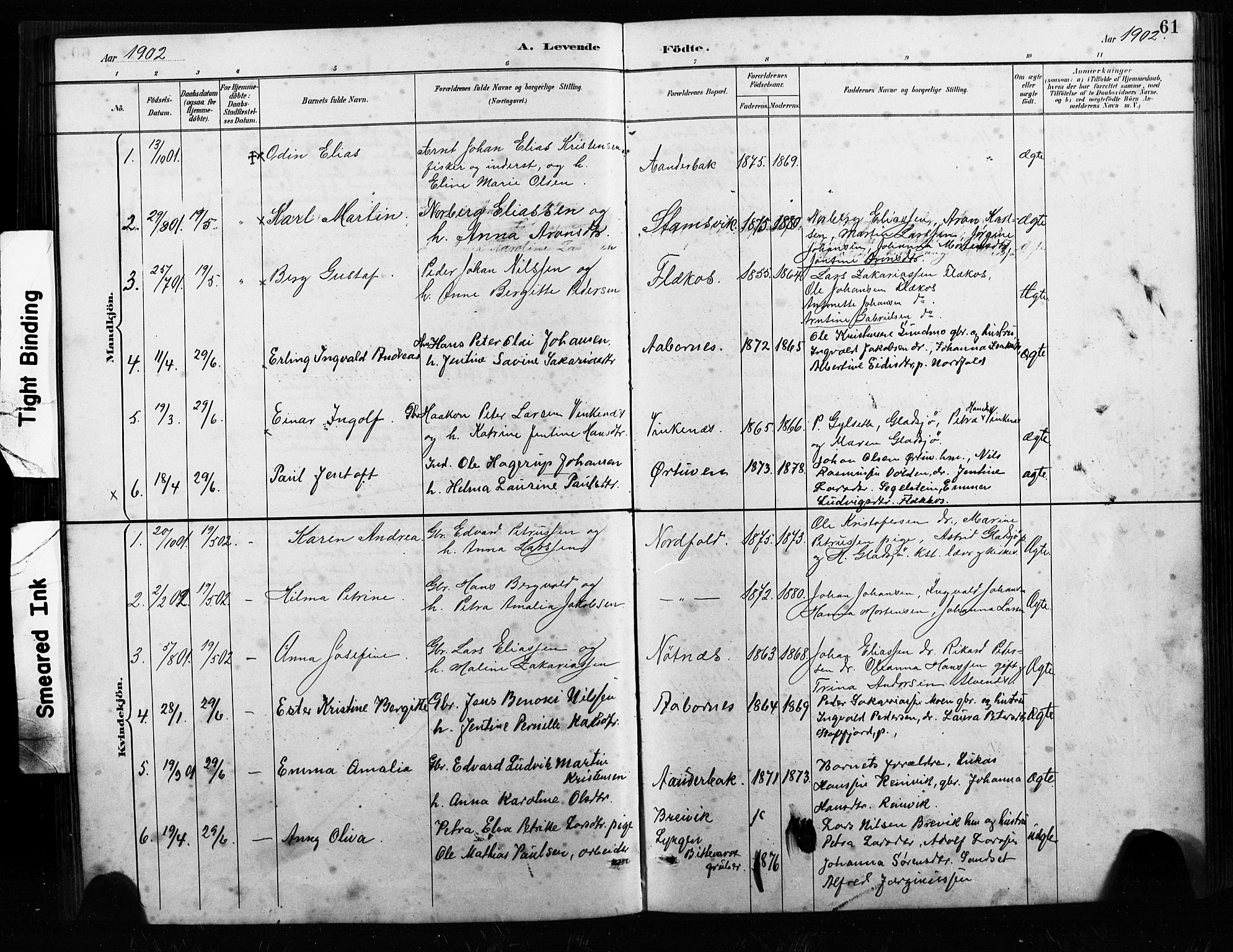 Ministerialprotokoller, klokkerbøker og fødselsregistre - Nordland, AV/SAT-A-1459/858/L0834: Parish register (copy) no. 858C01, 1884-1904, p. 61