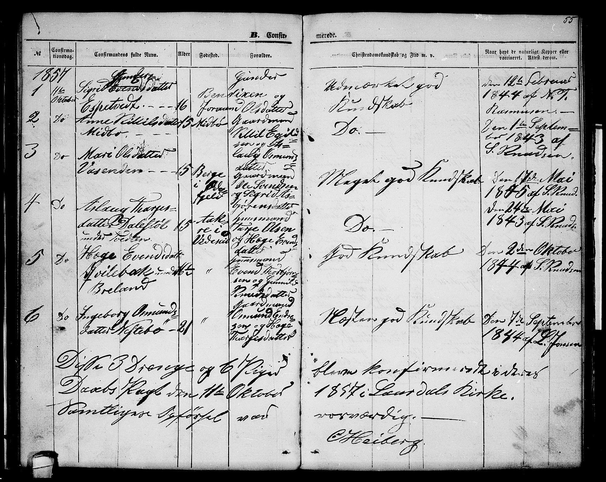 Lårdal kirkebøker, SAKO/A-284/G/Gc/L0002: Parish register (copy) no. III 2, 1852-1877, p. 55