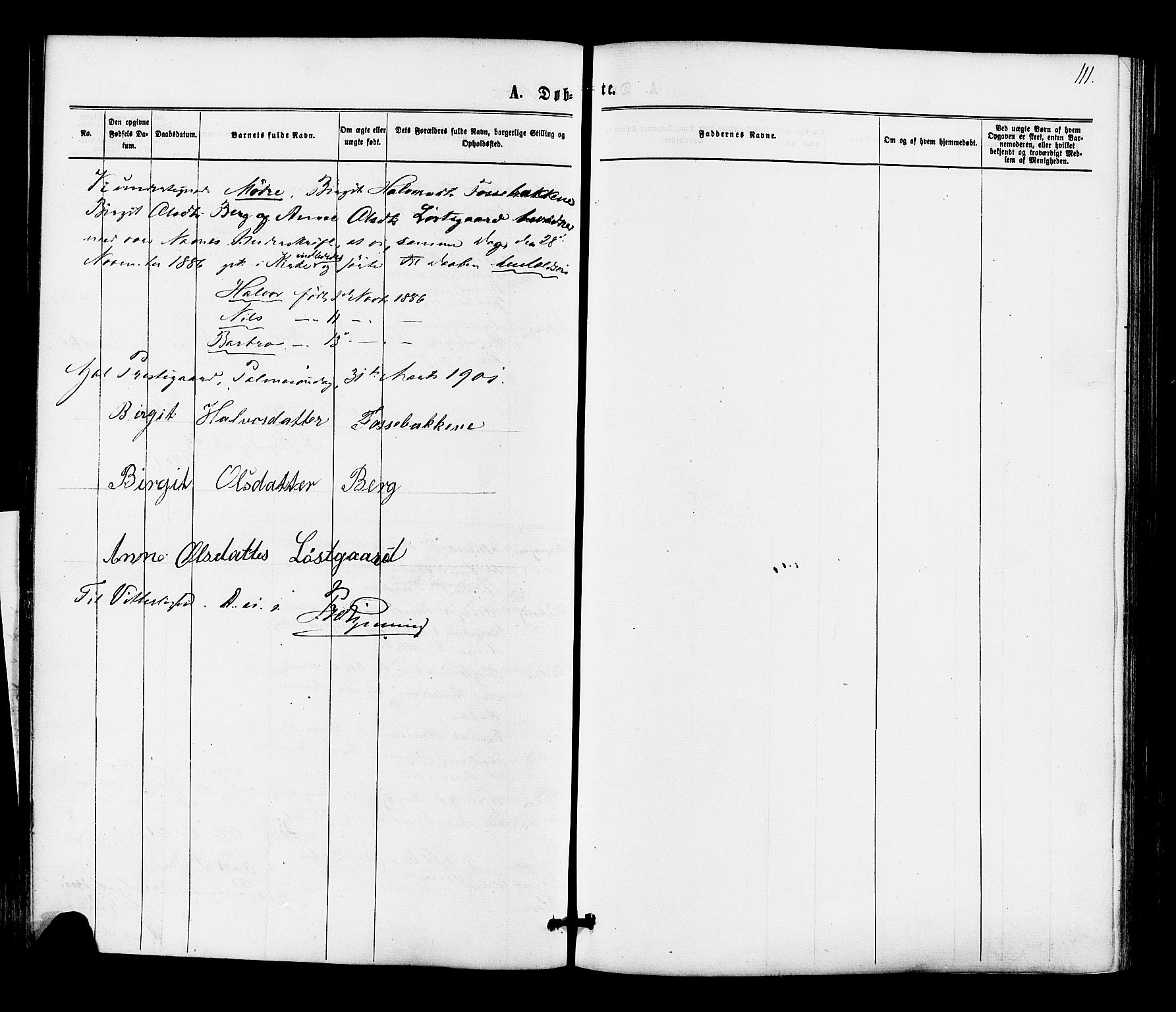 Gol kirkebøker, AV/SAKO-A-226/F/Fa/L0004: Parish register (official) no. I 4, 1876-1886, p. 111