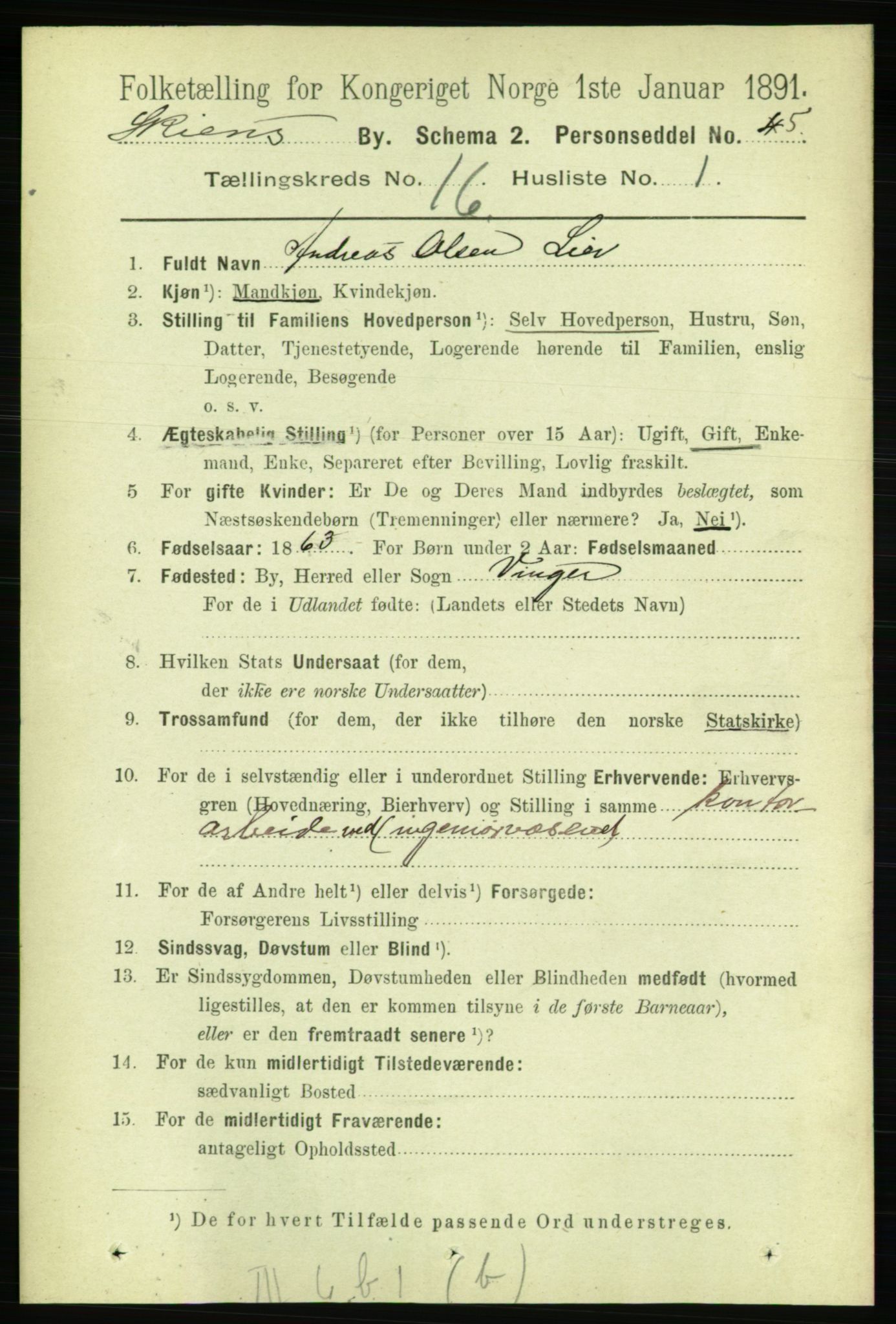 RA, 1891 census for 0806 Skien, 1891, p. 4558