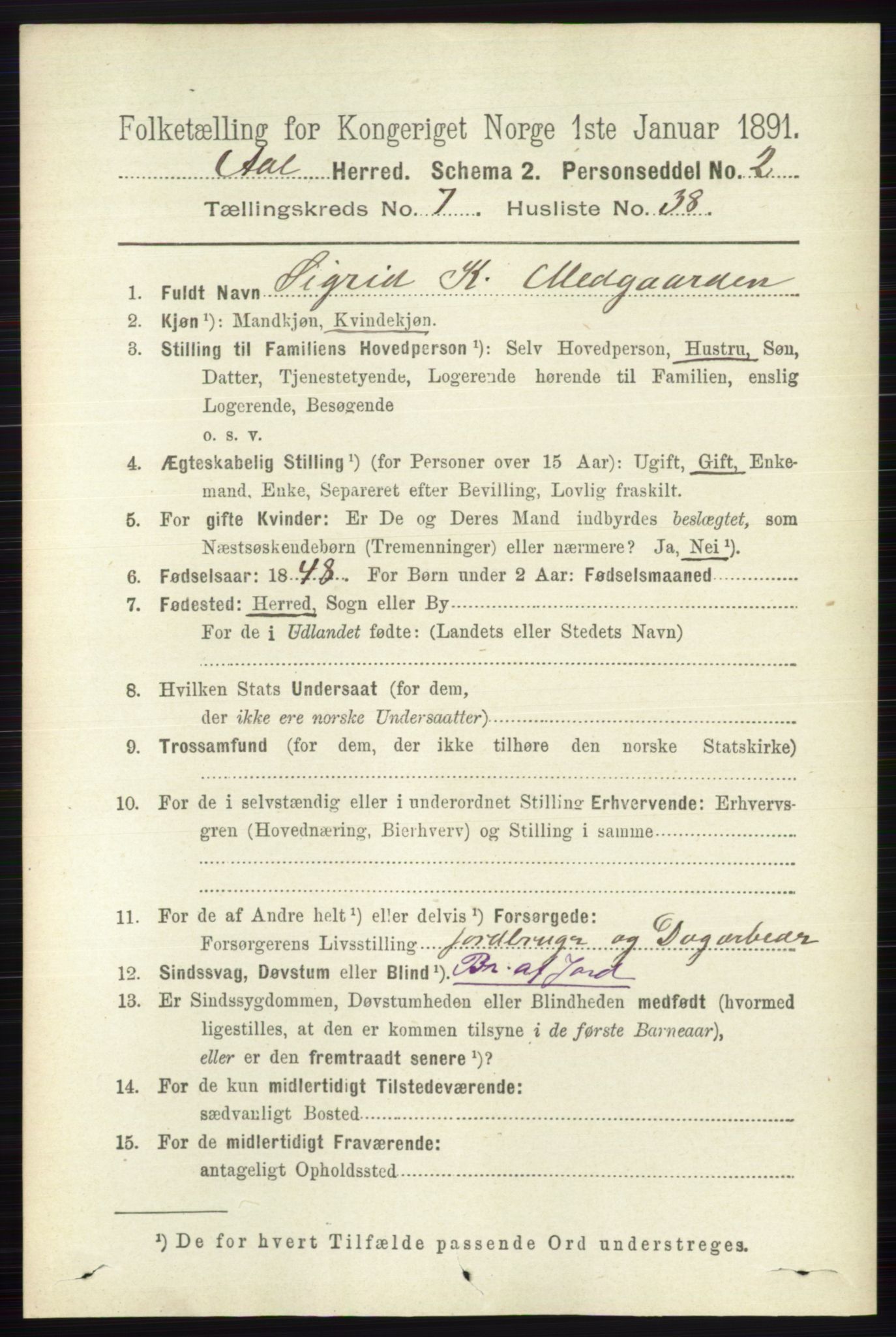 RA, 1891 census for 0619 Ål, 1891, p. 1991