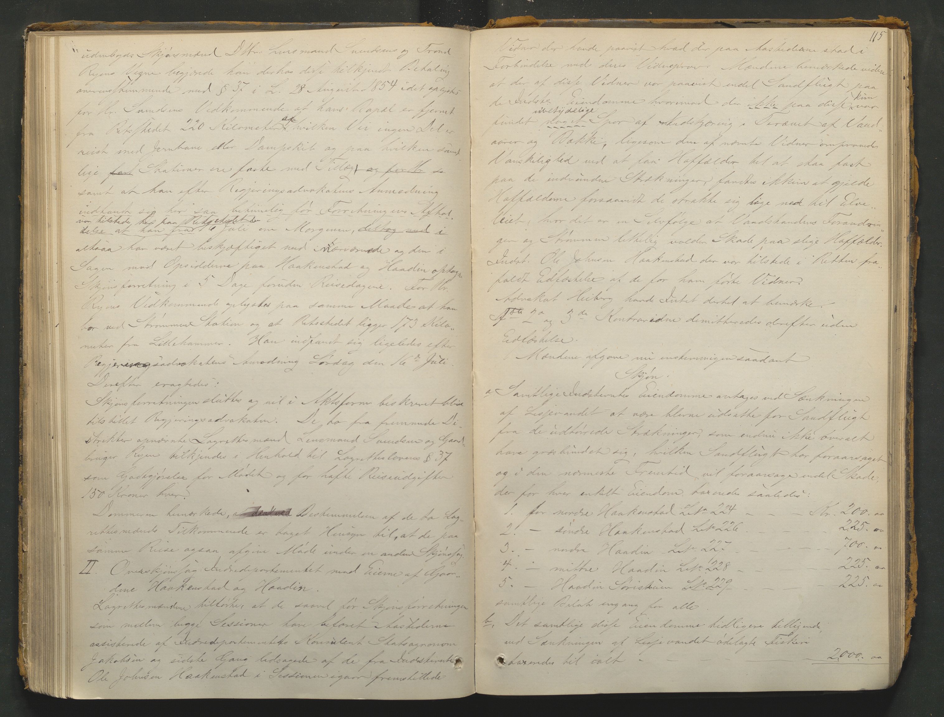 Nord-Gudbrandsdal tingrett, AV/SAH-TING-002/G/Gc/Gcb/L0004: Ekstrarettsprotokoll for åstedssaker, 1876-1887, p. 114b-115a