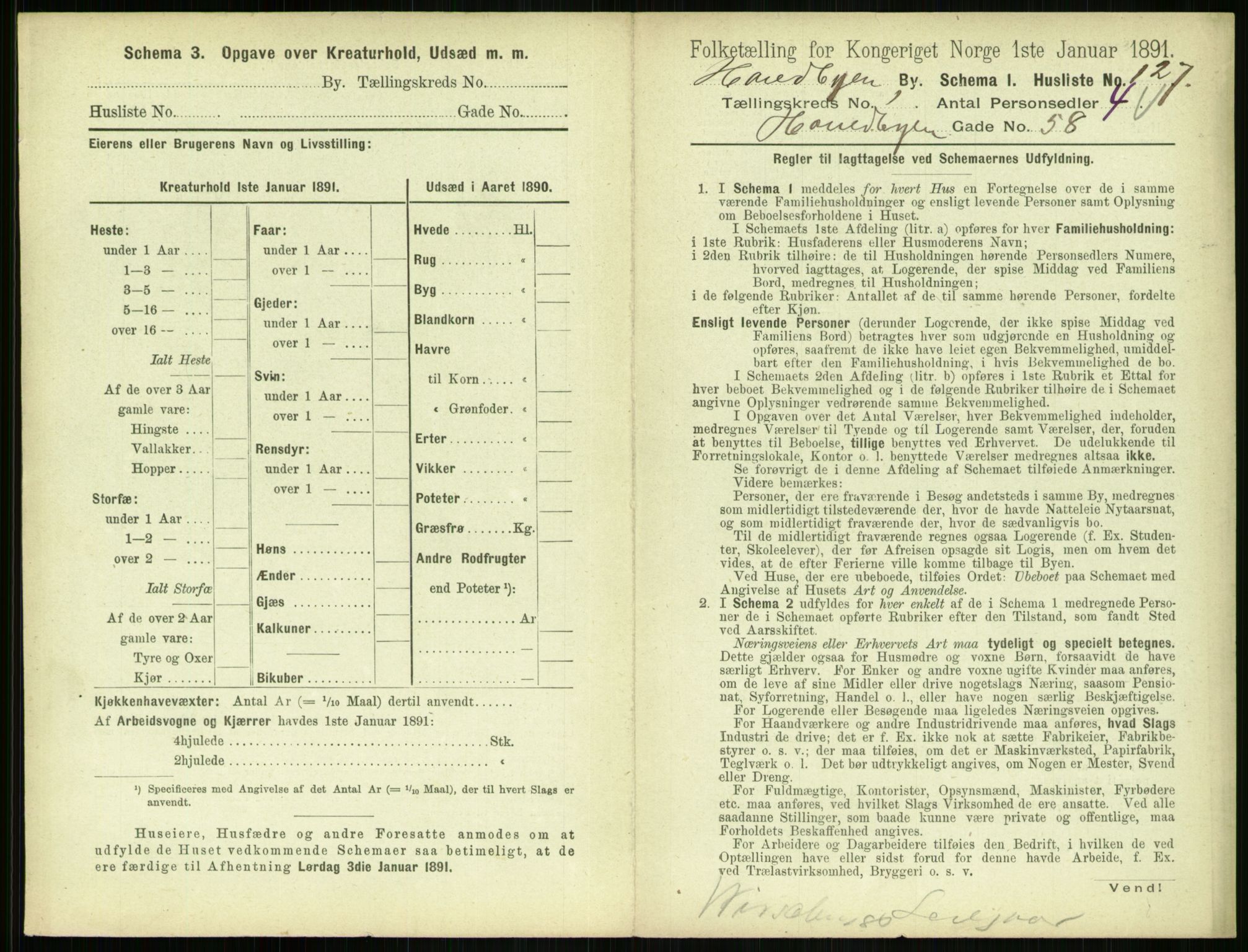 RA, 1891 census for 0804 Brevik, 1891, p. 275