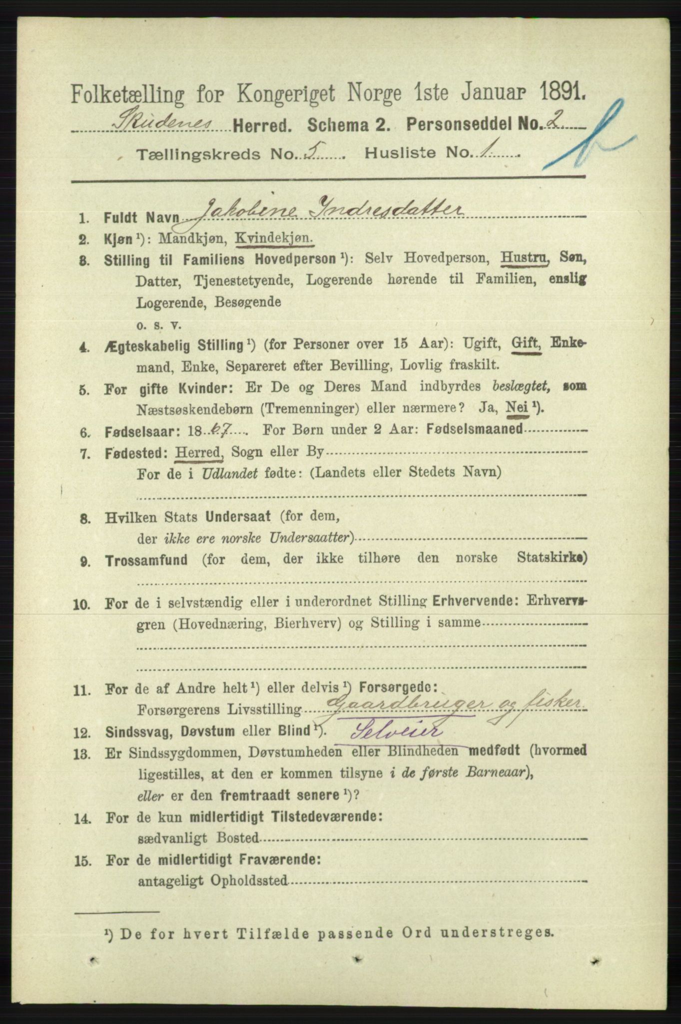 RA, 1891 census for 1150 Skudenes, 1891, p. 5232