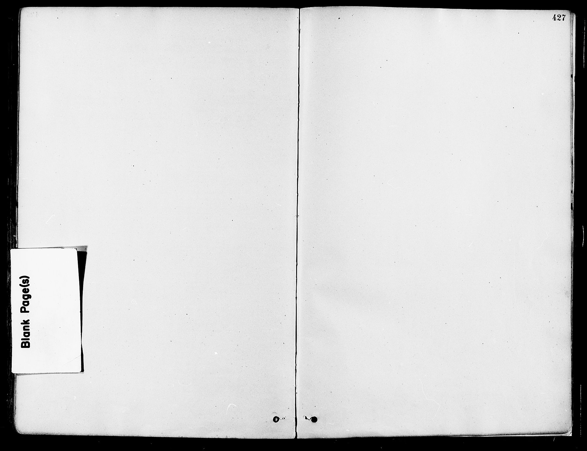 Eidskog prestekontor, AV/SAH-PREST-026/H/Ha/Haa/L0003: Parish register (official) no. 3, 1879-1892, p. 427