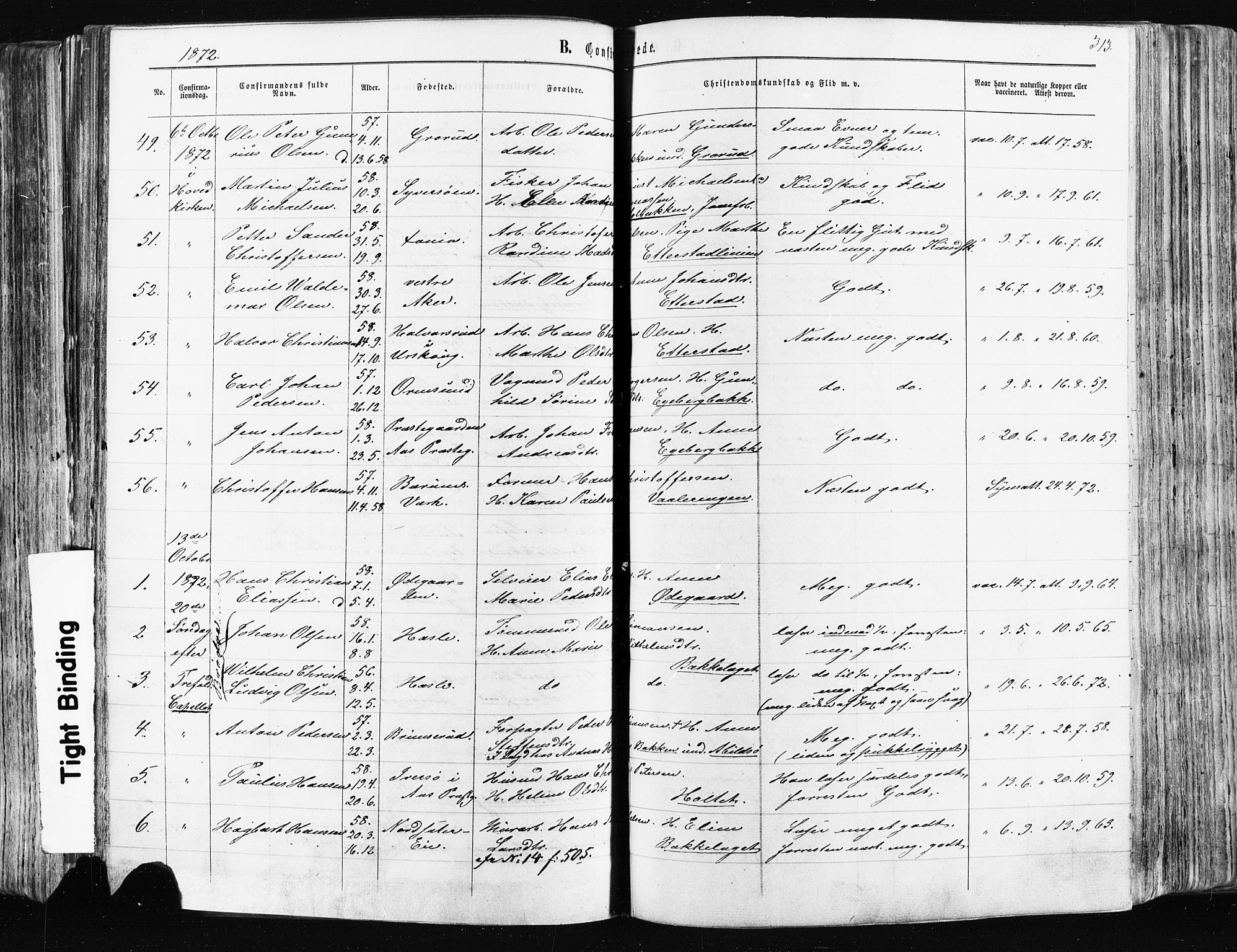 Østre Aker prestekontor Kirkebøker, AV/SAO-A-10840/F/Fa/L0003: Parish register (official) no. I 3, 1869-1875, p. 313