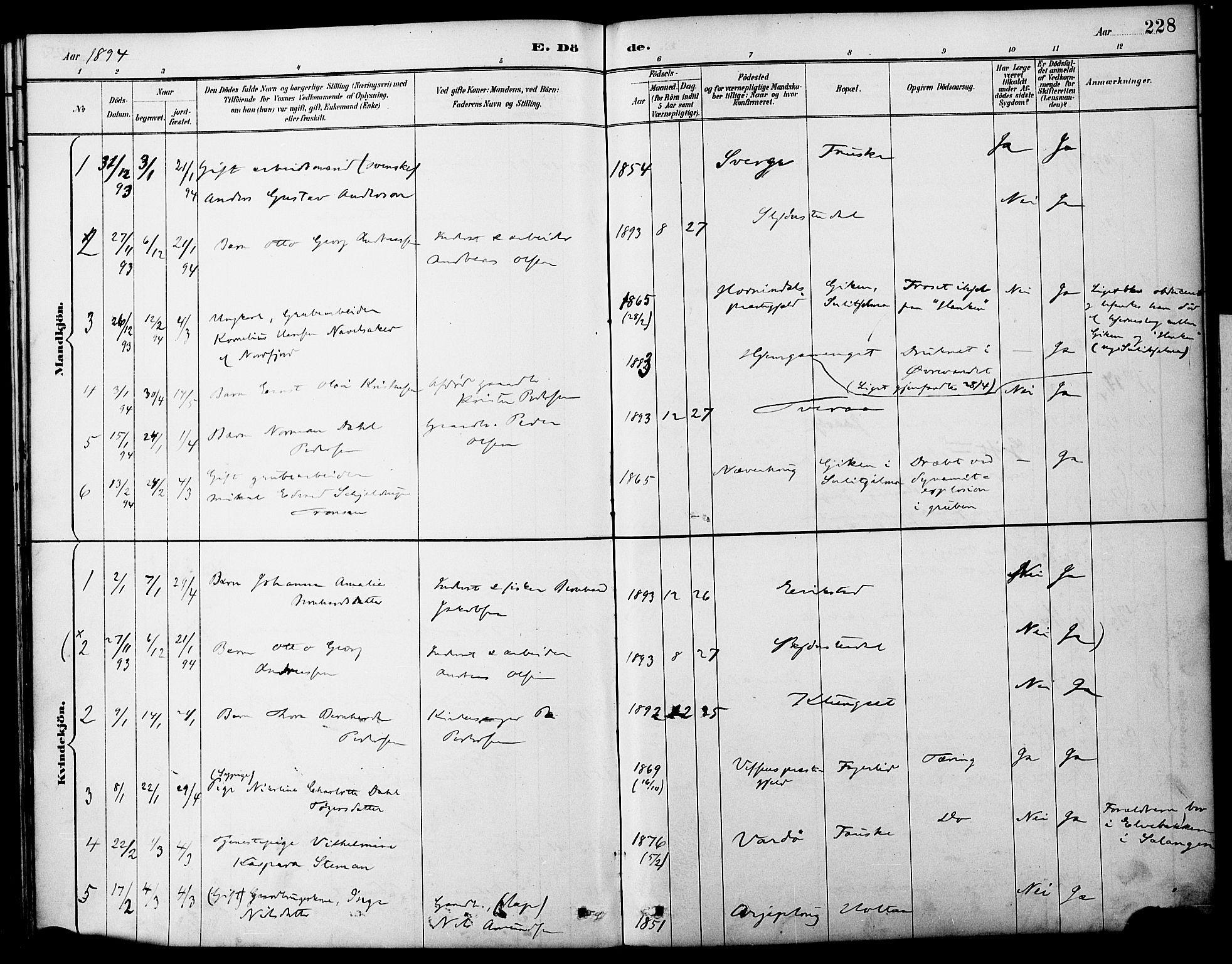Ministerialprotokoller, klokkerbøker og fødselsregistre - Nordland, SAT/A-1459/849/L0690: Parish register (official) no. 849A02, 1890-1897, p. 228