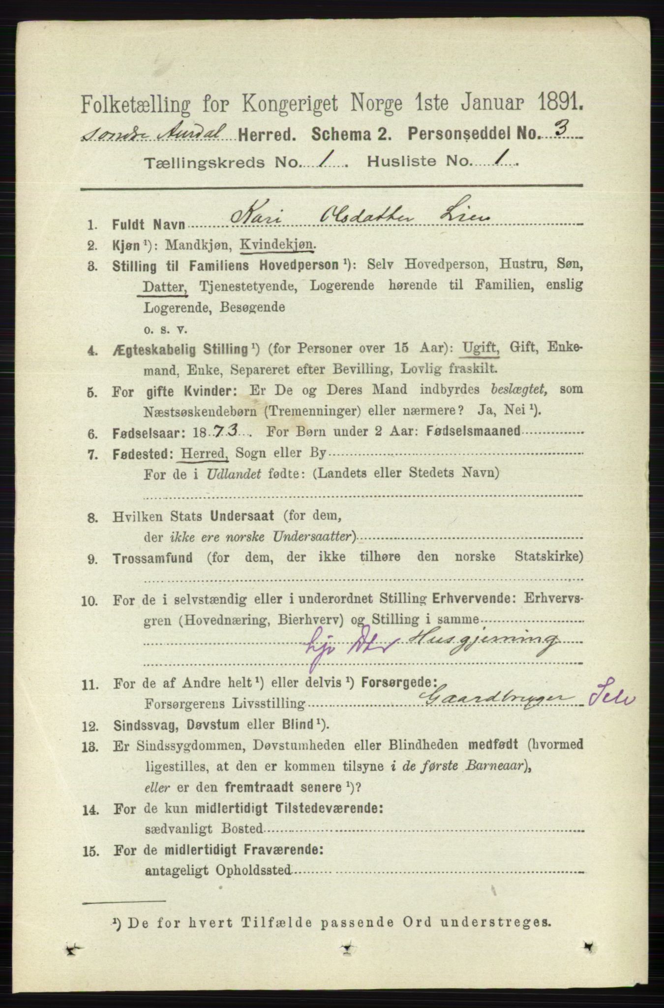 RA, 1891 census for 0540 Sør-Aurdal, 1891, p. 145