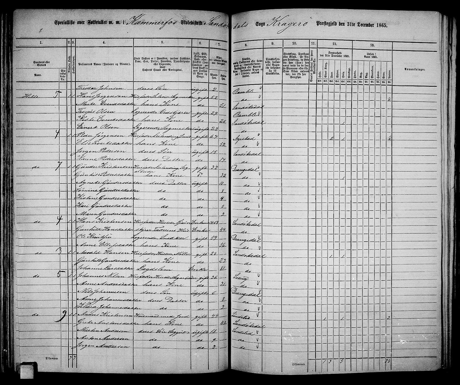 RA, 1865 census for Kragerø/Sannidal og Skåtøy, 1865, p. 85