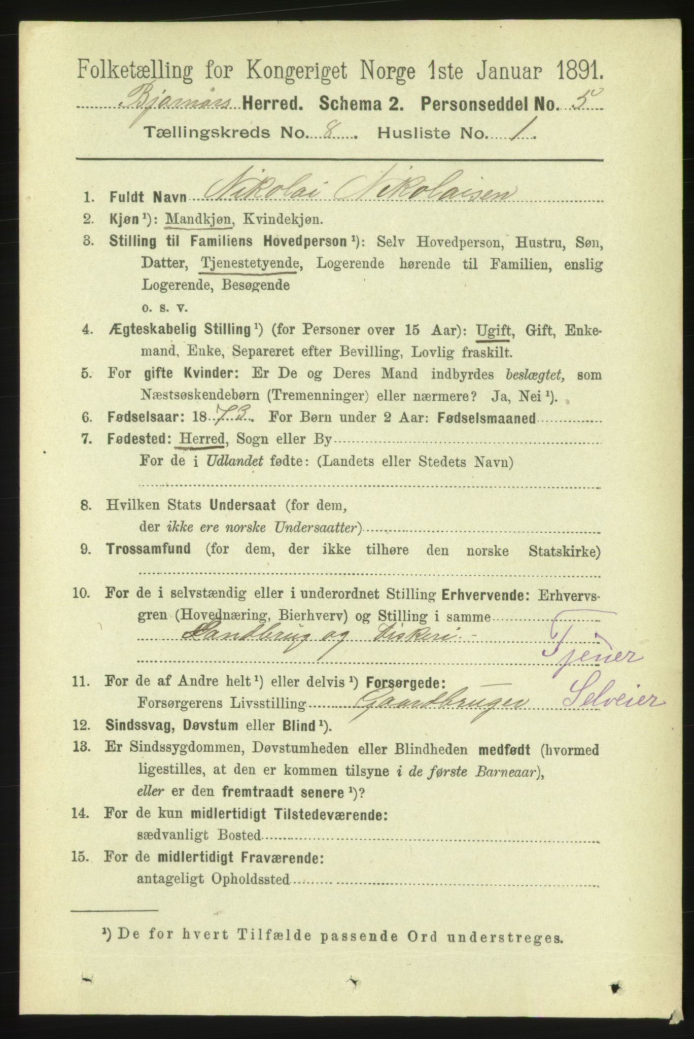 RA, 1891 census for 1632 Bjørnør, 1891, p. 3381