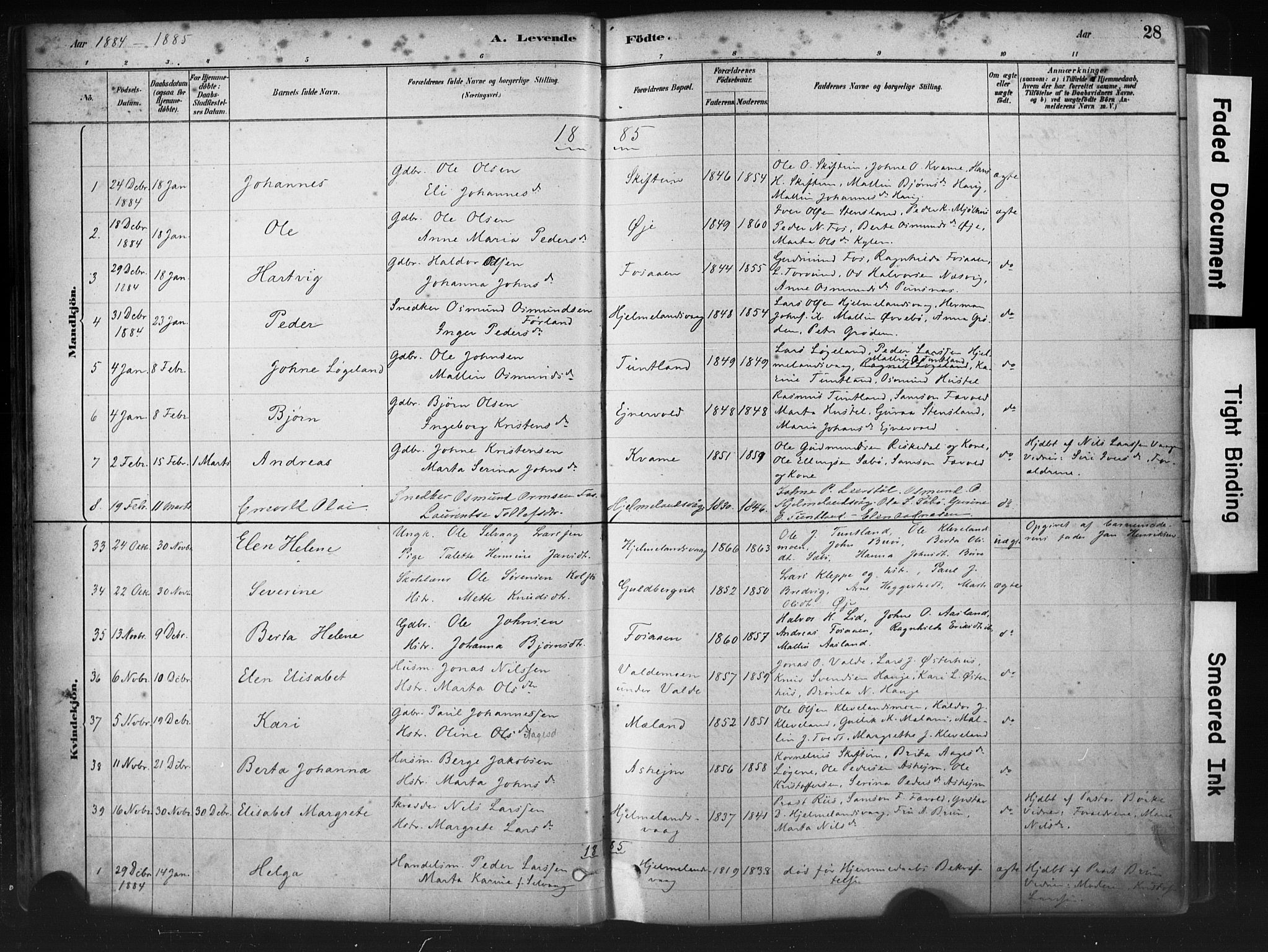 Hjelmeland sokneprestkontor, AV/SAST-A-101843/01/IV/L0014: Parish register (official) no. A 14, 1879-1900, p. 28