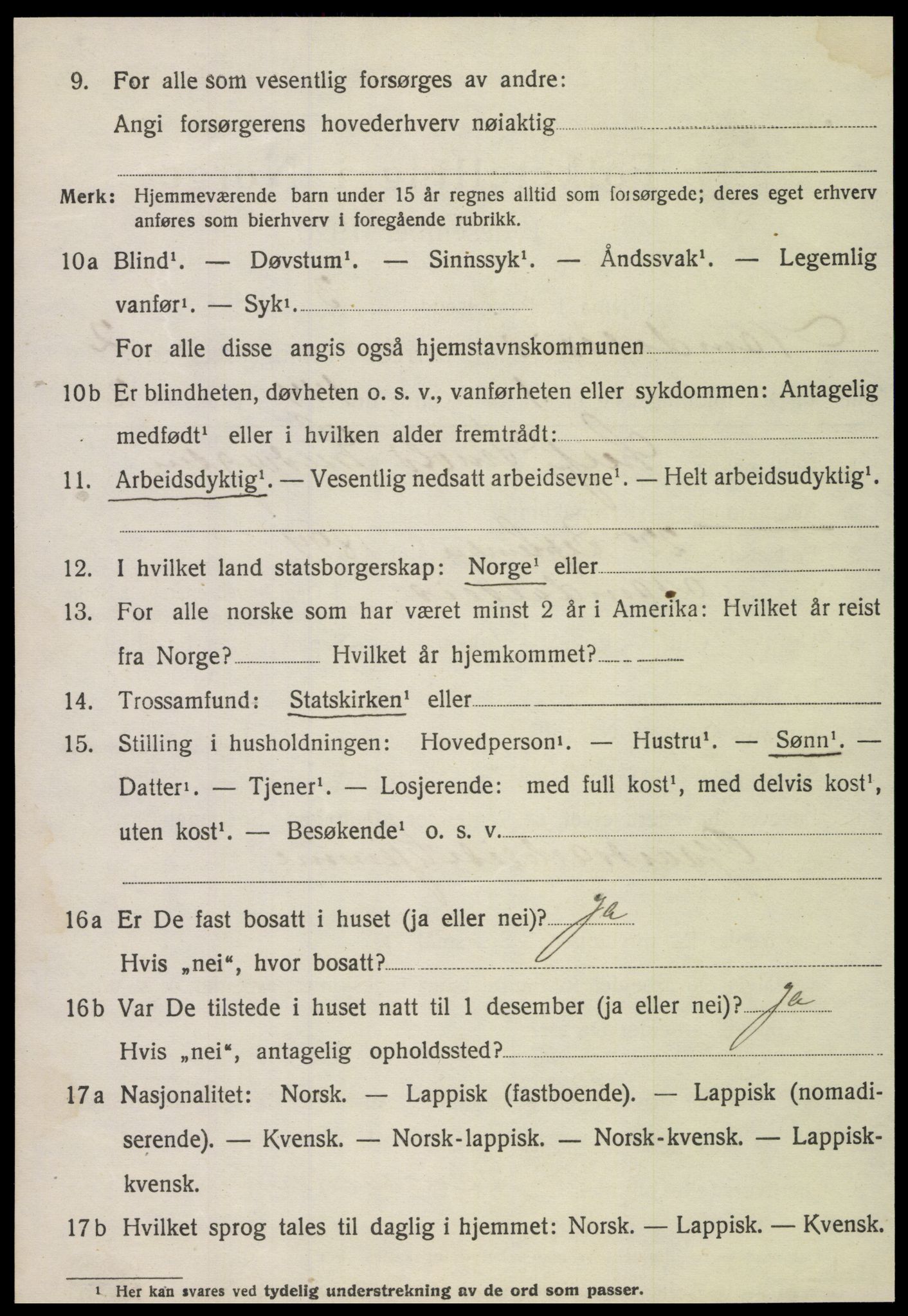 SAT, 1920 census for Namdalseid, 1920, p. 1349