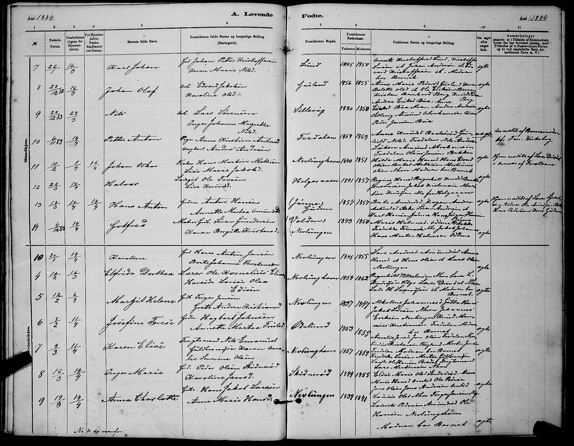 Brunlanes kirkebøker, AV/SAKO-A-342/G/Gb/L0002: Parish register (copy) no. II 2, 1878-1902