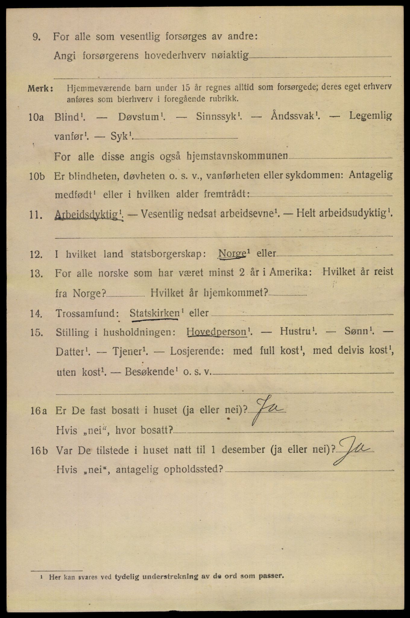 SAKO, 1920 census for Skien, 1920, p. 41509