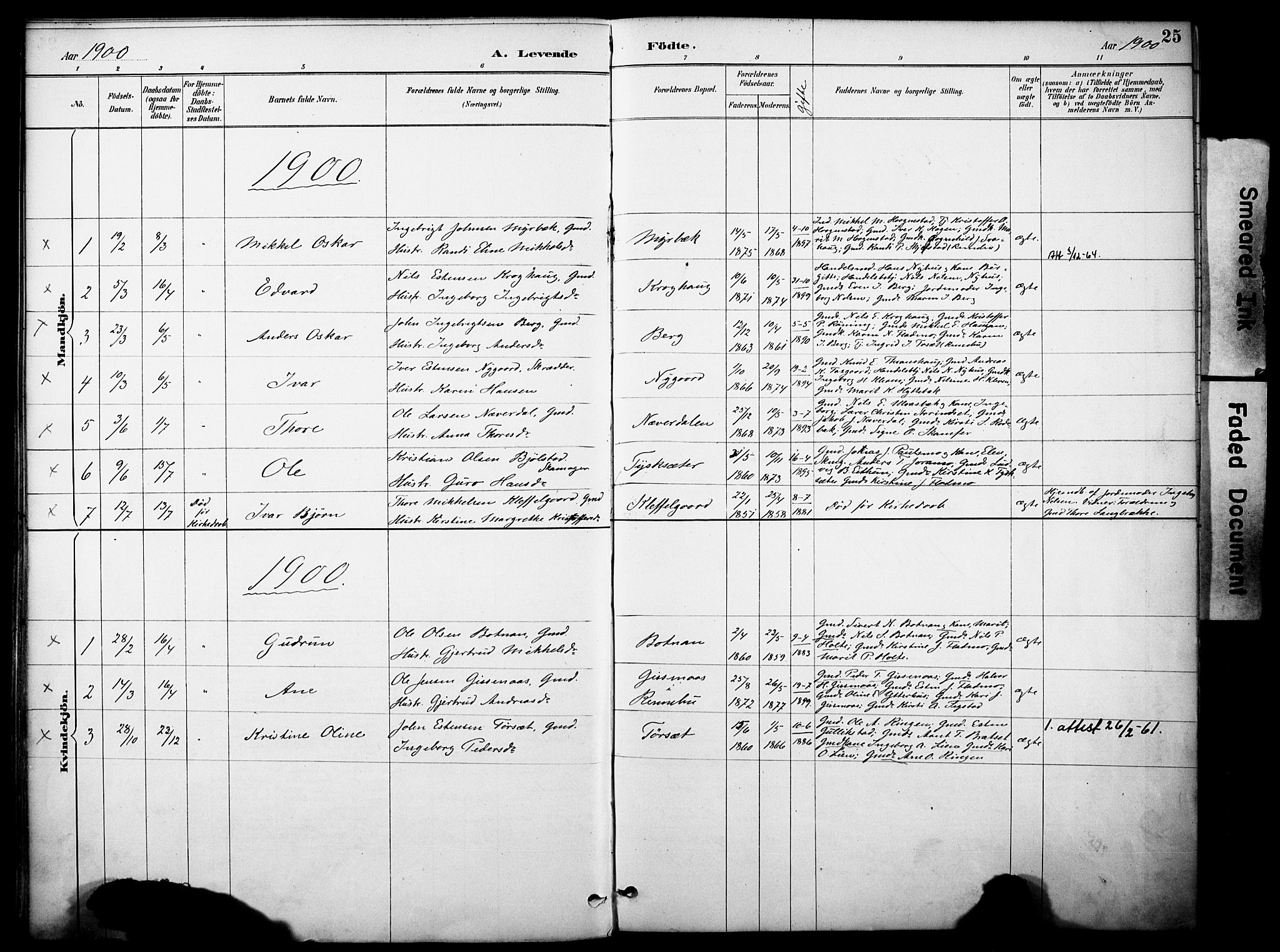 Kvikne prestekontor, SAH/PREST-064/H/Ha/Haa/L0007: Parish register (official) no. 7, 1887-1911, p. 25