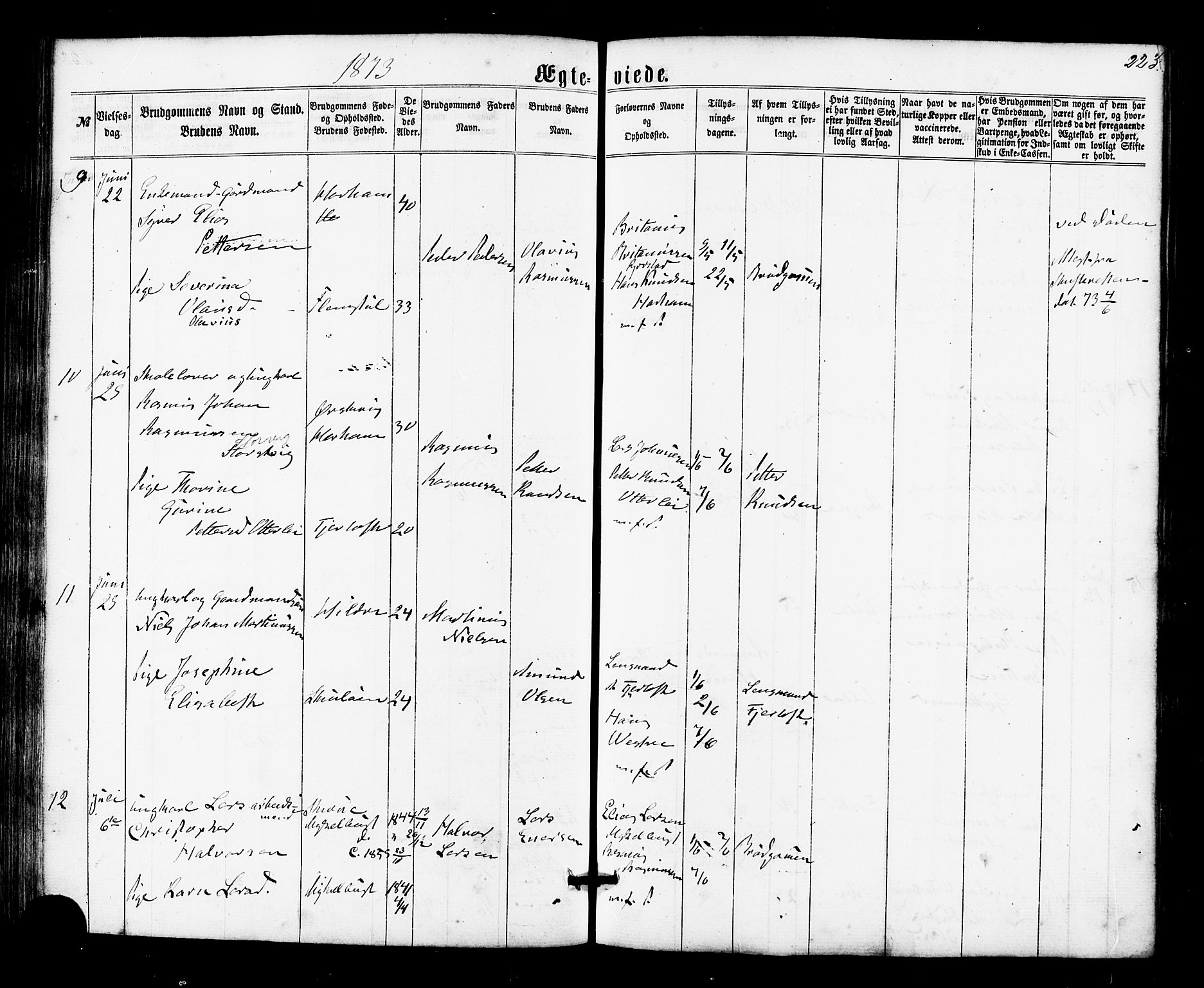 Ministerialprotokoller, klokkerbøker og fødselsregistre - Møre og Romsdal, AV/SAT-A-1454/536/L0498: Parish register (official) no. 536A07, 1862-1875, p. 223