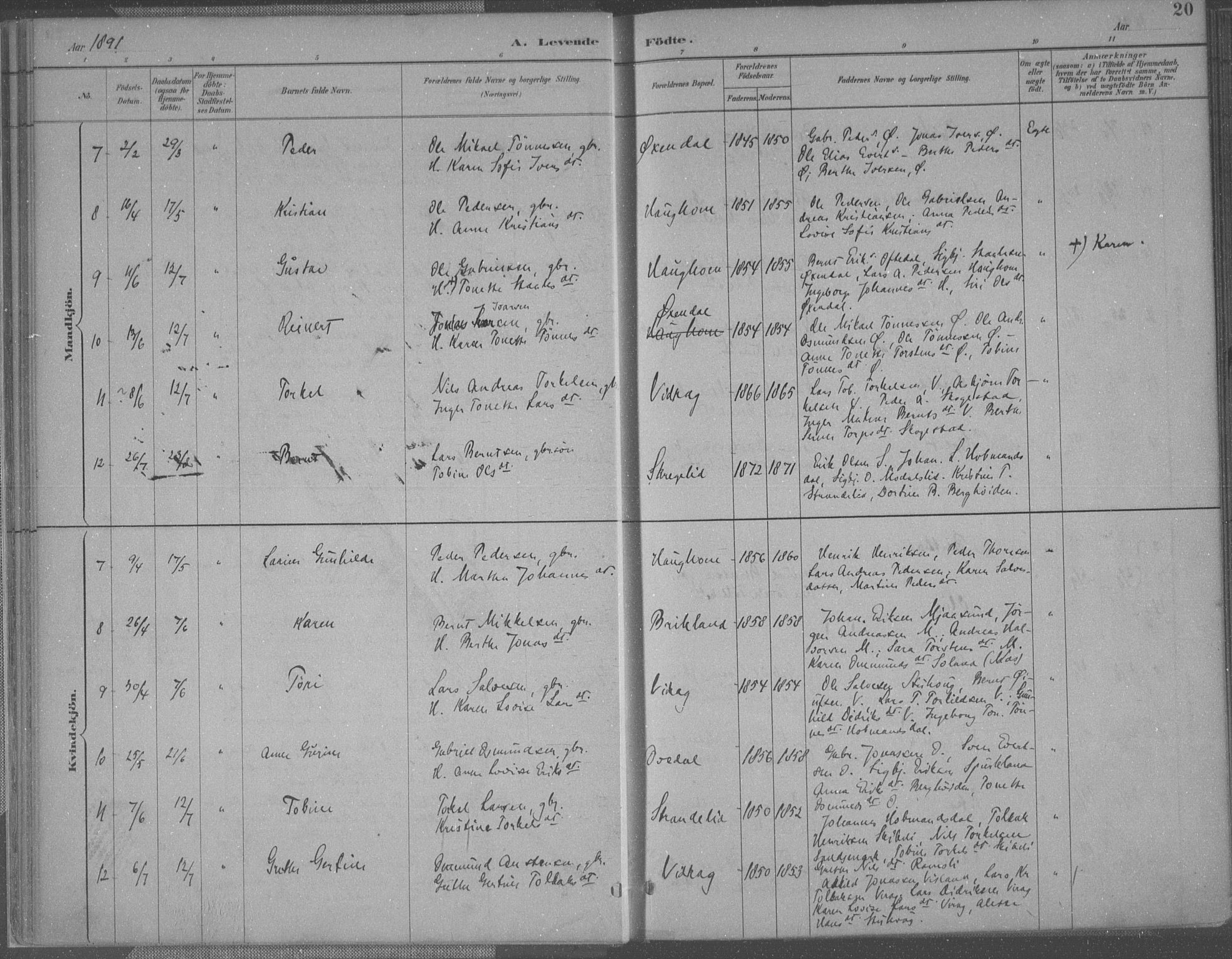 Bakke sokneprestkontor, SAK/1111-0002/F/Fa/Faa/L0008: Parish register (official) no. A 8, 1887-1911, p. 20
