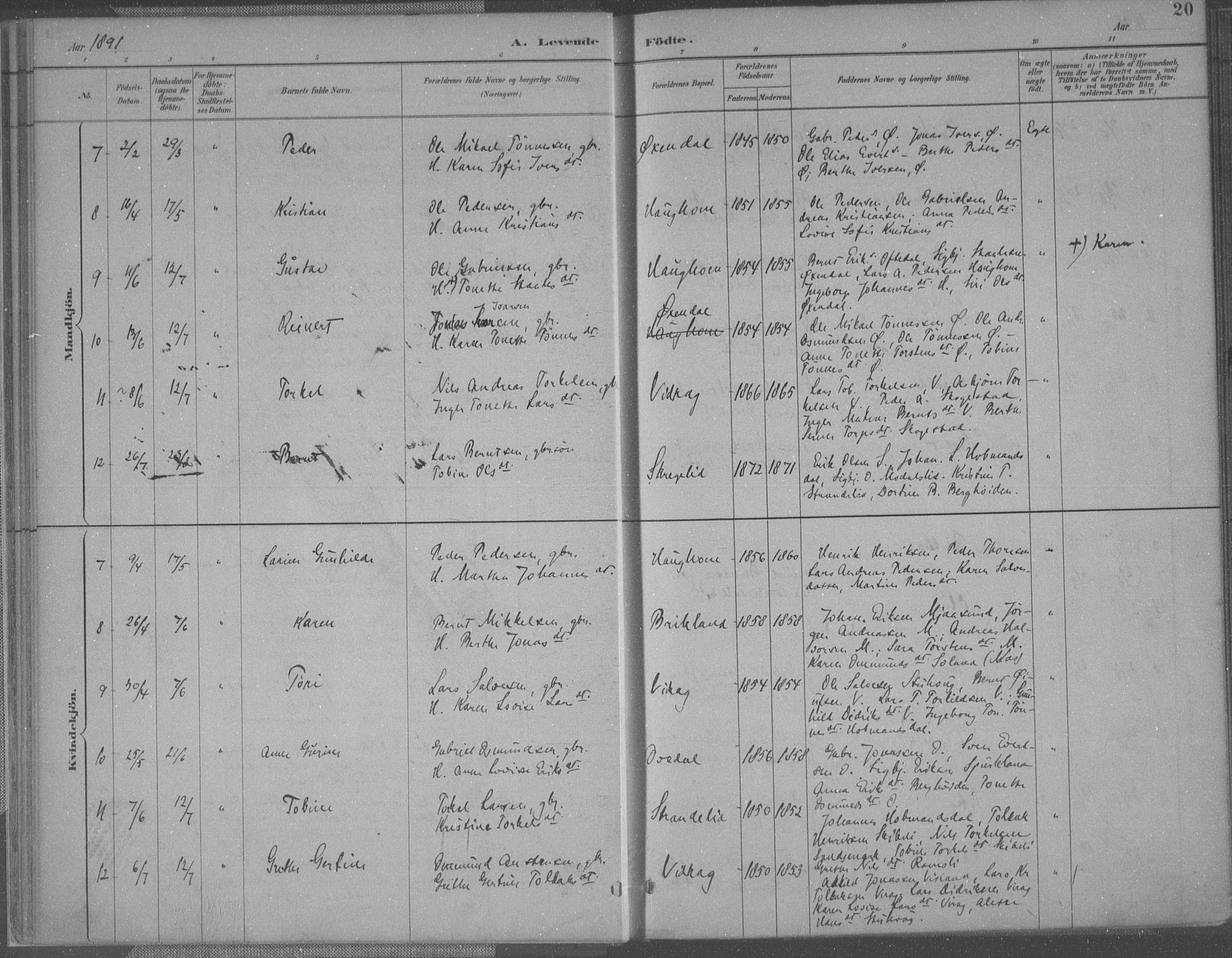 Bakke sokneprestkontor, AV/SAK-1111-0002/F/Fa/Faa/L0008: Parish register (official) no. A 8, 1887-1911, p. 20