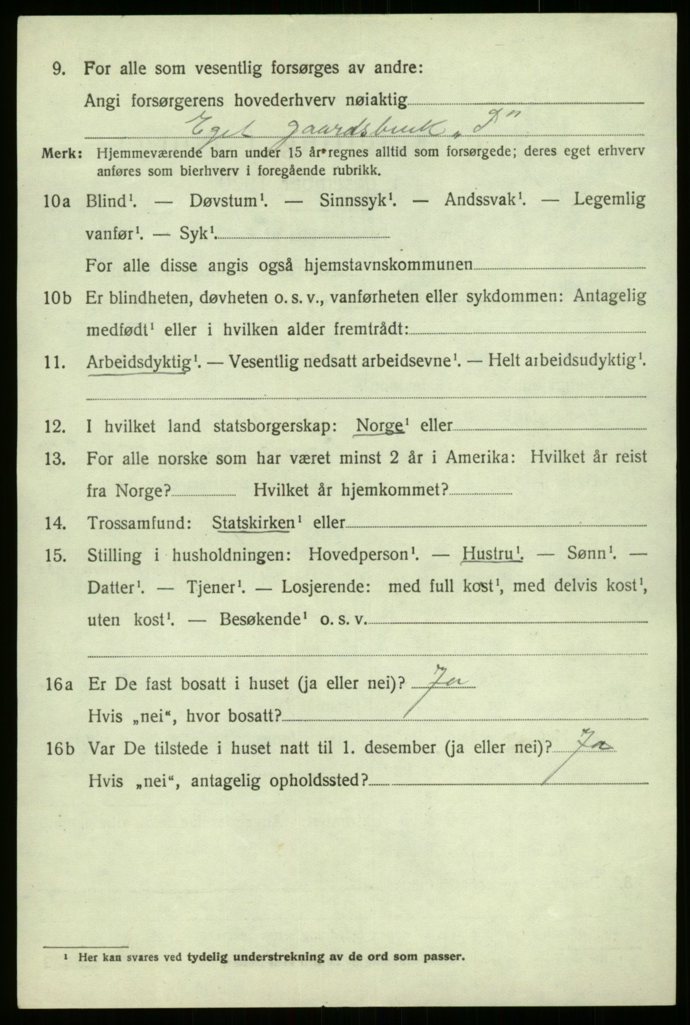 SAB, 1920 census for Hafslo, 1920, p. 2629