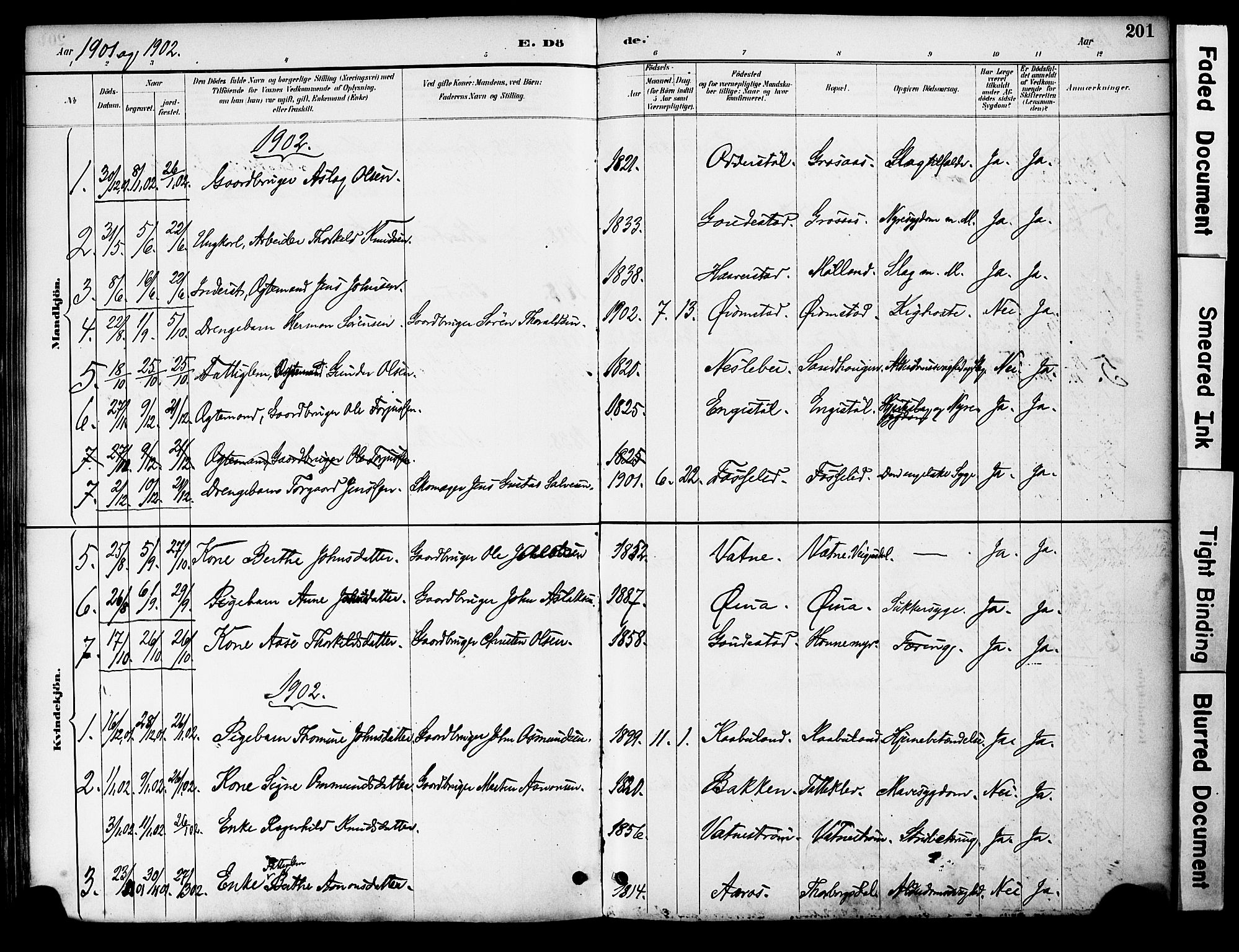 Evje sokneprestkontor, AV/SAK-1111-0008/F/Fa/Fac/L0003: Parish register (official) no. A 3, 1884-1909, p. 201