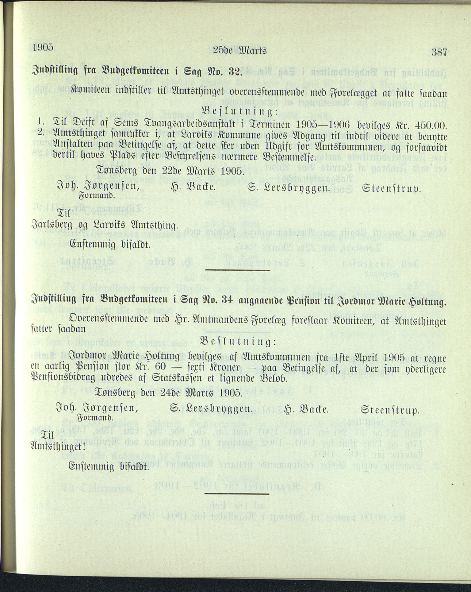 Vestfold fylkeskommune. Fylkestinget, VEMU/A-1315/A/Ab/Abb/L0052: Fylkestingsforhandlinger, 1905, p. 387