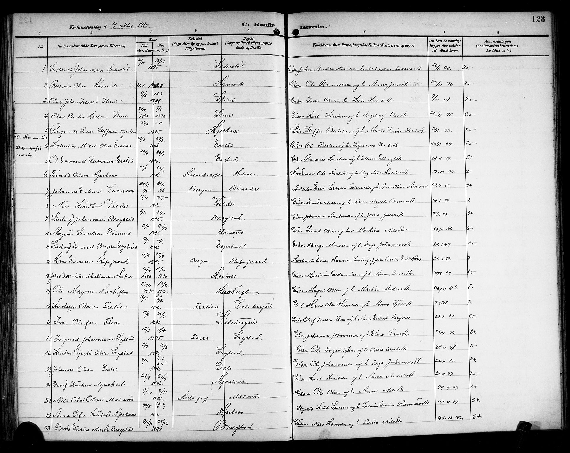 Alversund Sokneprestembete, SAB/A-73901/H/Ha/Hab: Parish register (copy) no. C 4, 1894-1924, p. 123