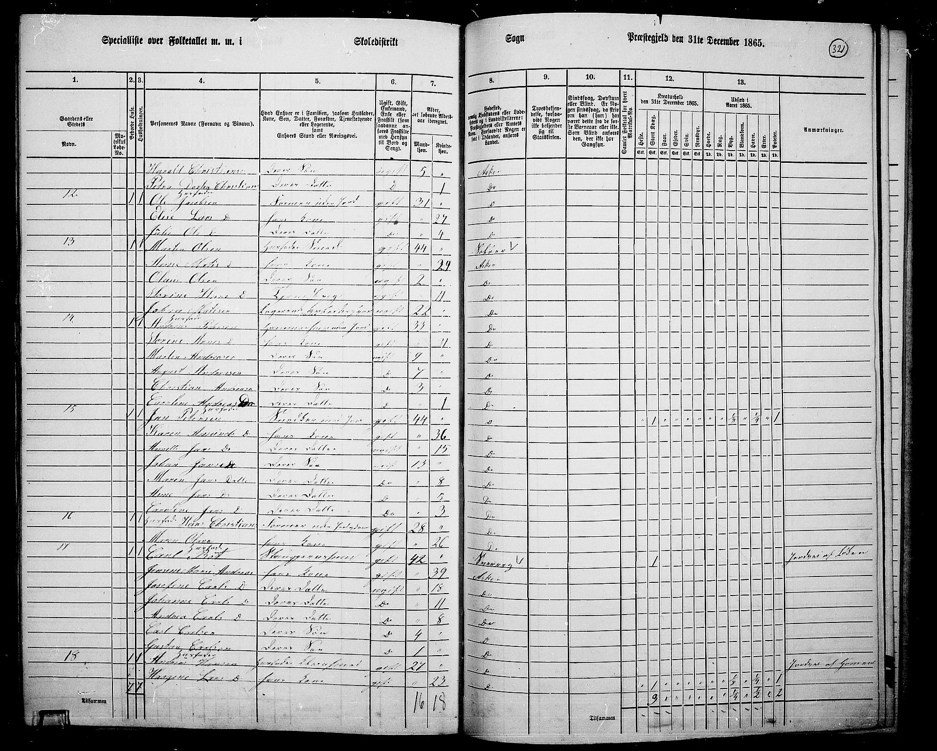 RA, 1865 census for Asker, 1865, p. 310