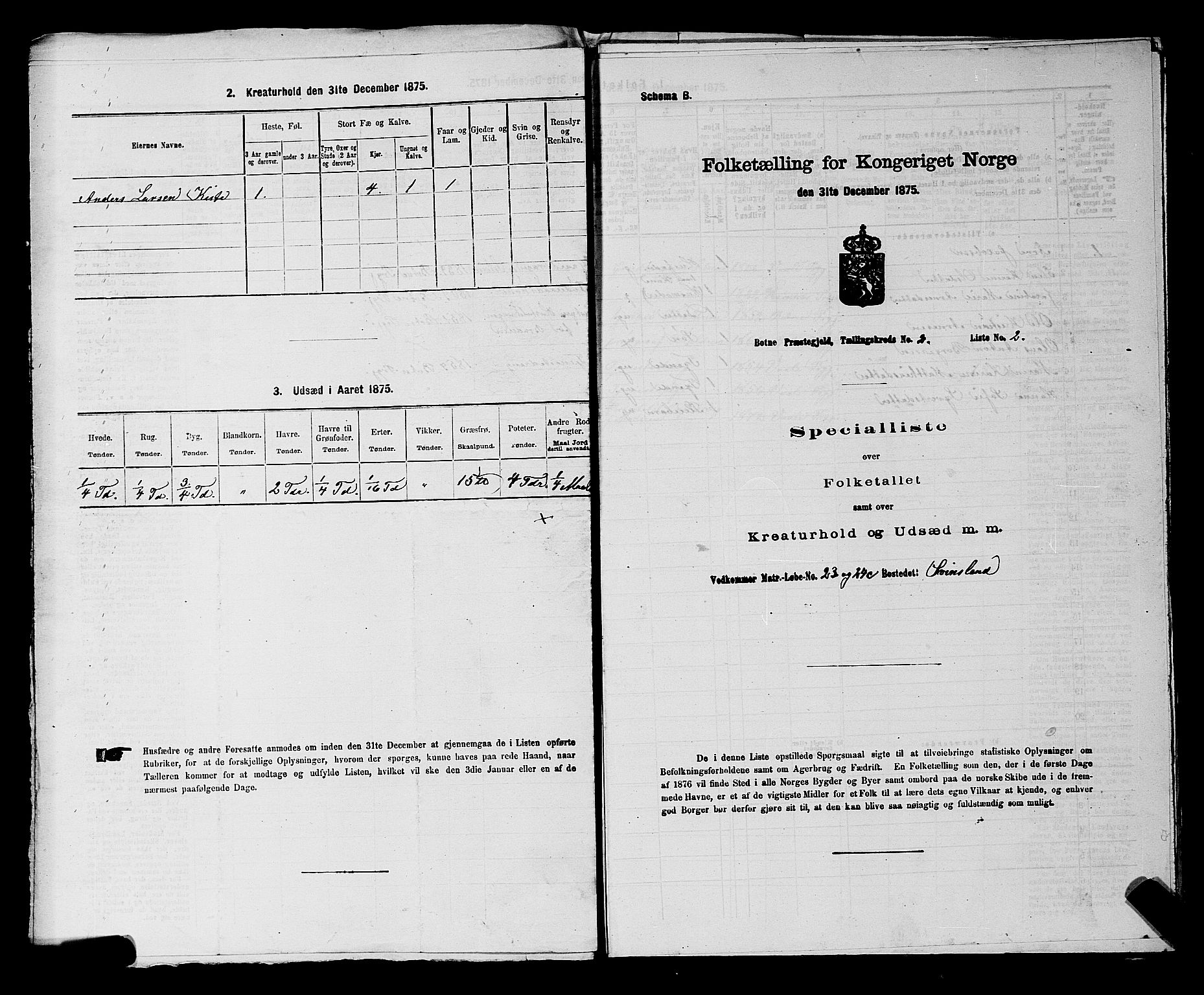 SAKO, 1875 census for 0715P Botne, 1875, p. 161