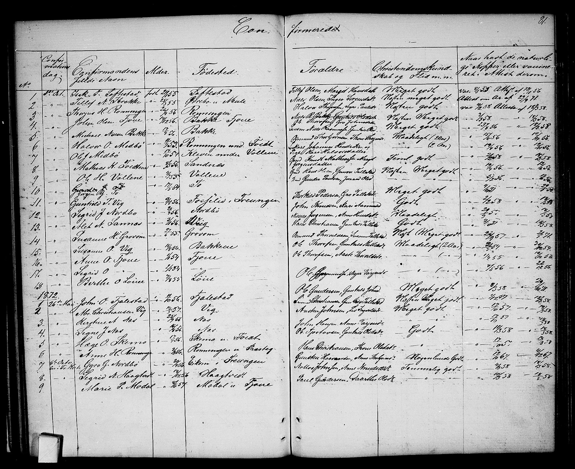 Nissedal kirkebøker, AV/SAKO-A-288/G/Ga/L0002: Parish register (copy) no. I 2, 1861-1887, p. 81