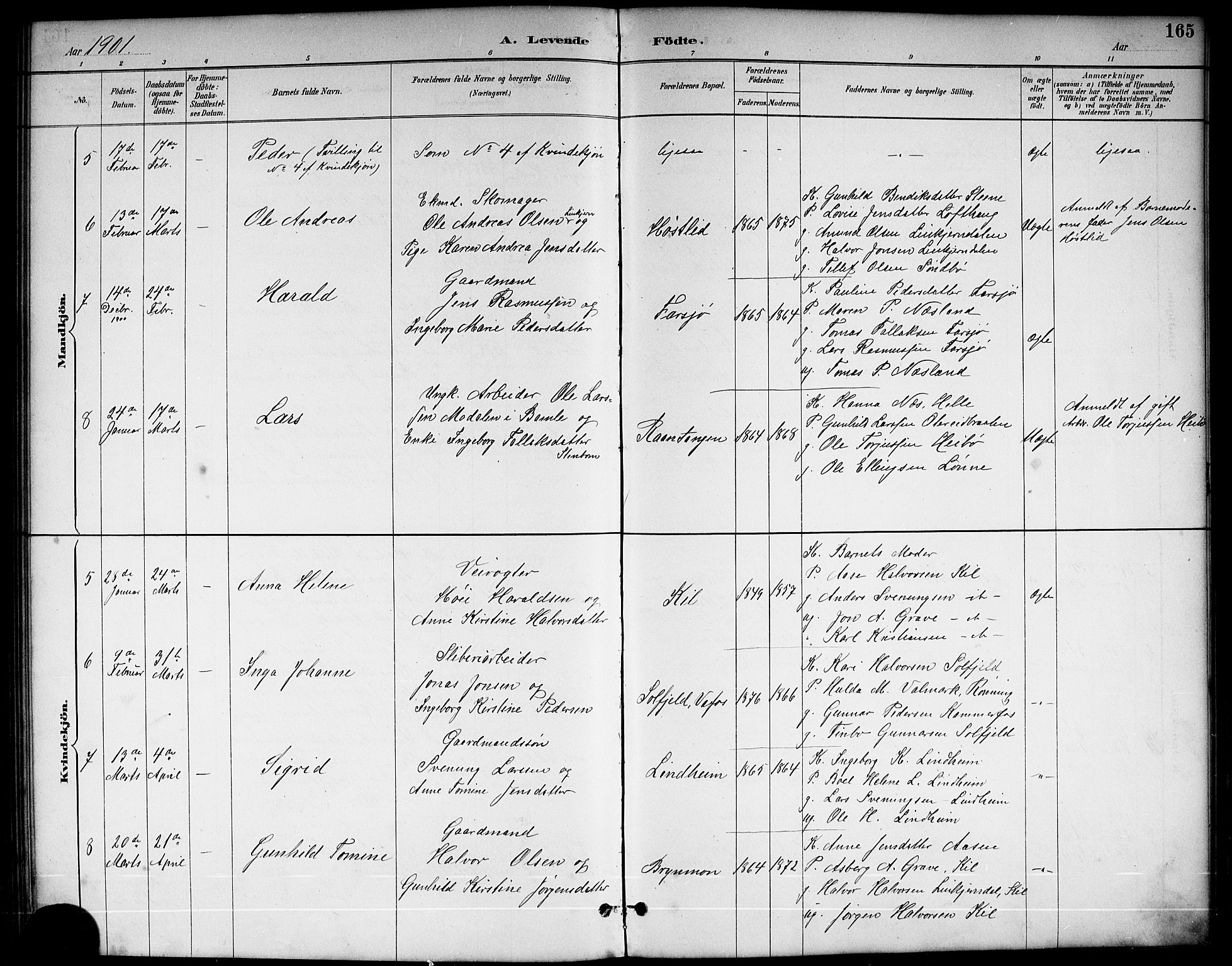 Sannidal kirkebøker, SAKO/A-296/G/Ga/L0003: Parish register (copy) no. 3, 1887-1922, p. 165