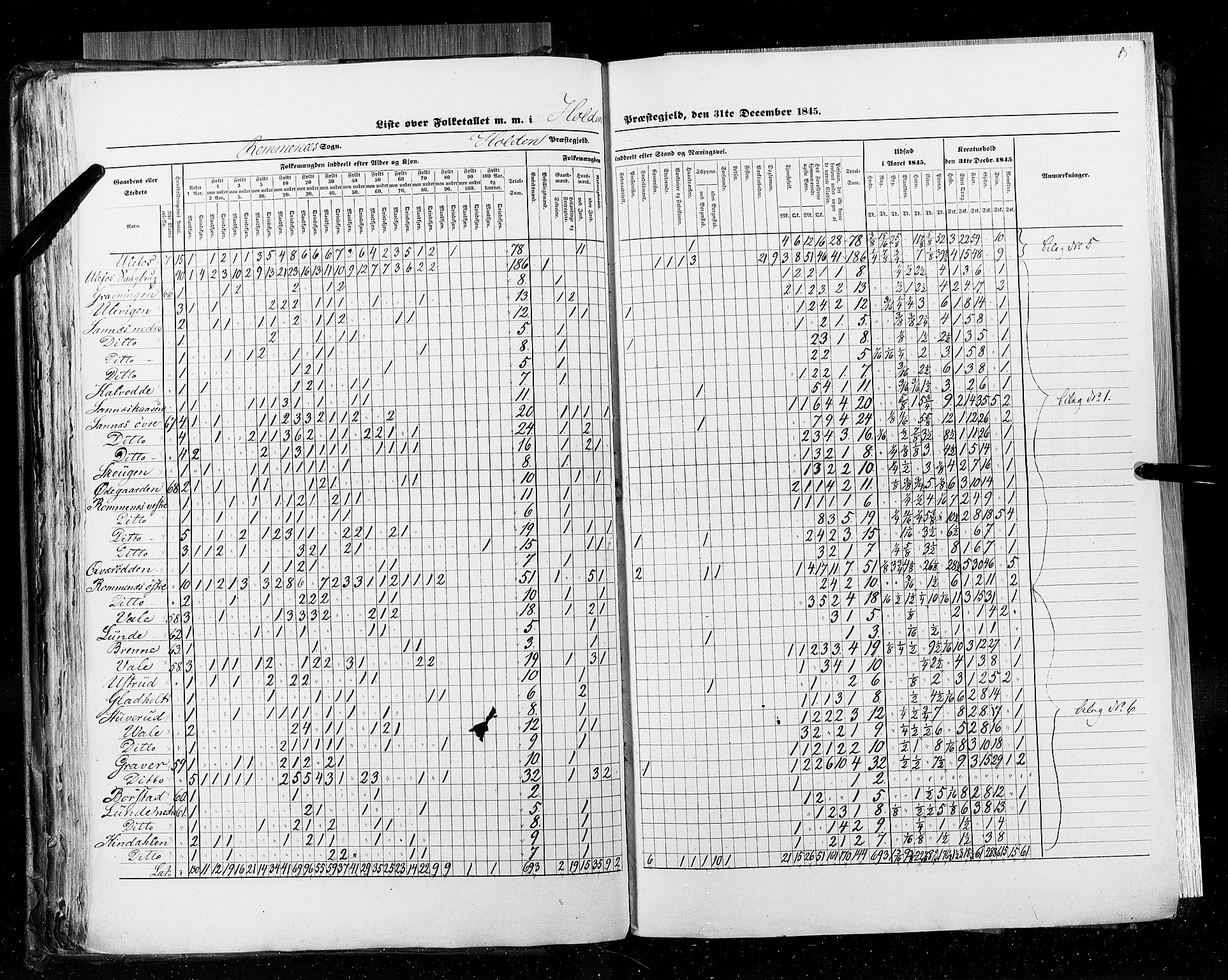 RA, Census 1845, vol. 5: Bratsberg amt og Nedenes og Råbyggelaget amt, 1845, p. 85