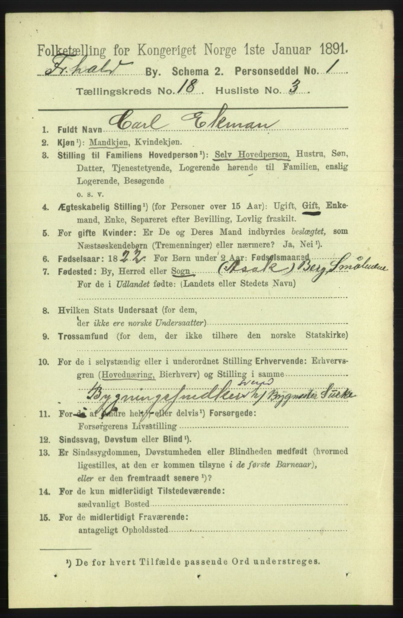 RA, 1891 census for 0101 Fredrikshald, 1891, p. 11376