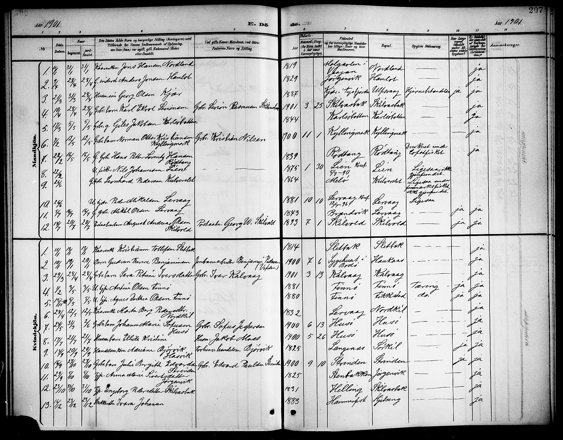 Ministerialprotokoller, klokkerbøker og fødselsregistre - Nordland, SAT/A-1459/859/L0860: Parish register (copy) no. 859C06, 1899-1909, p. 207