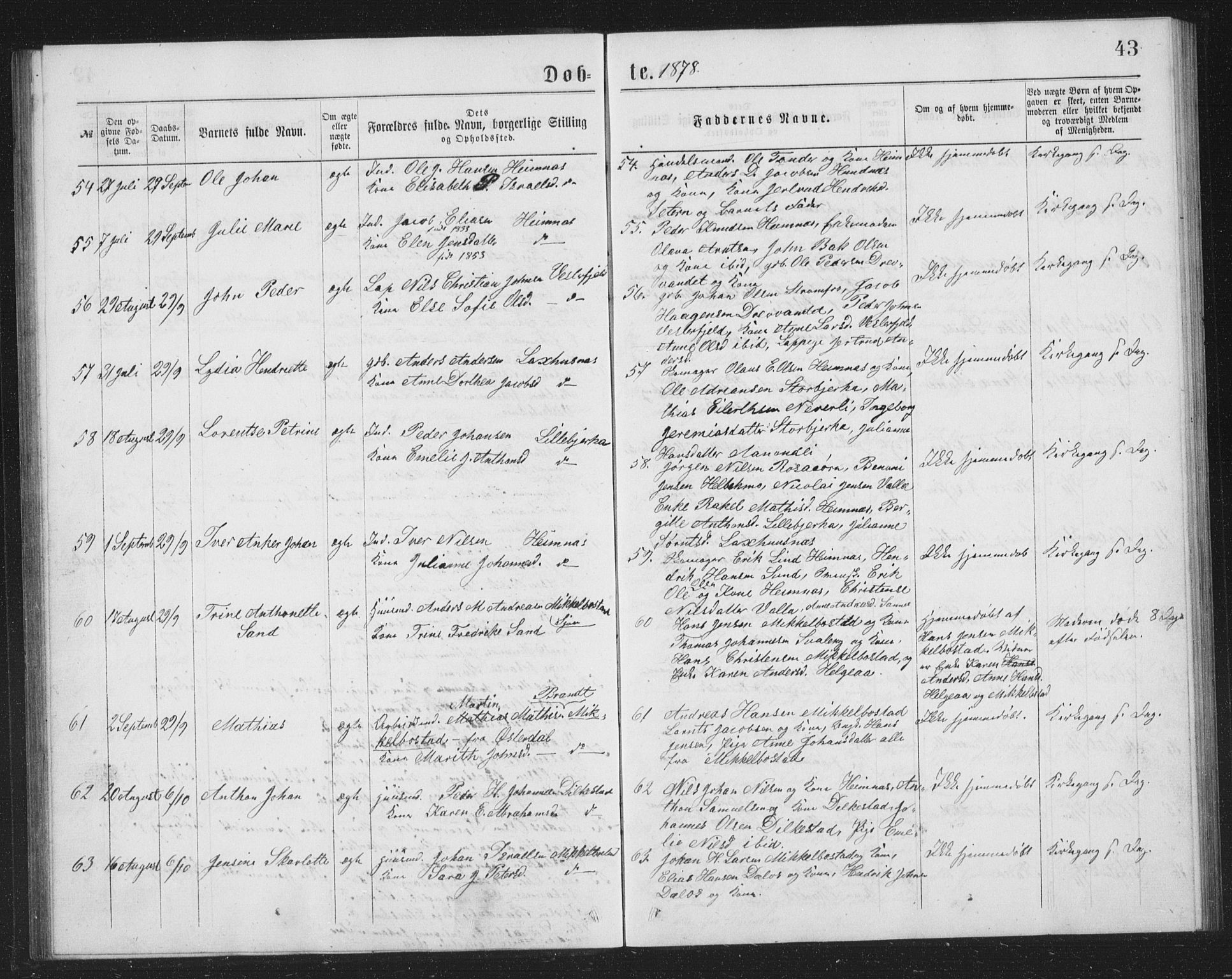 Ministerialprotokoller, klokkerbøker og fødselsregistre - Nordland, AV/SAT-A-1459/825/L0369: Parish register (copy) no. 825C06, 1873-1885, p. 43