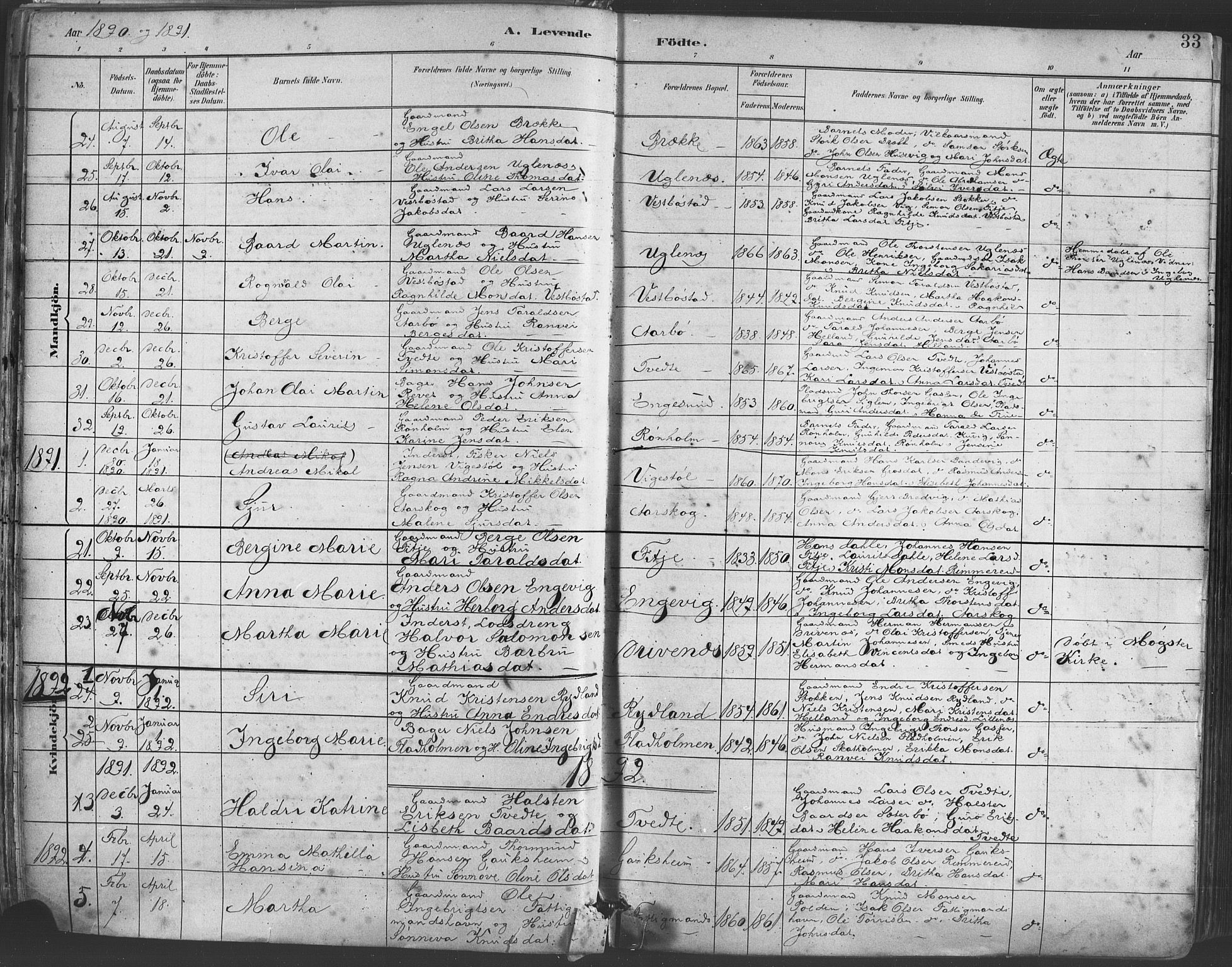 Fitjar sokneprestembete, AV/SAB-A-99926: Parish register (official) no. A 2, 1882-1899, p. 33