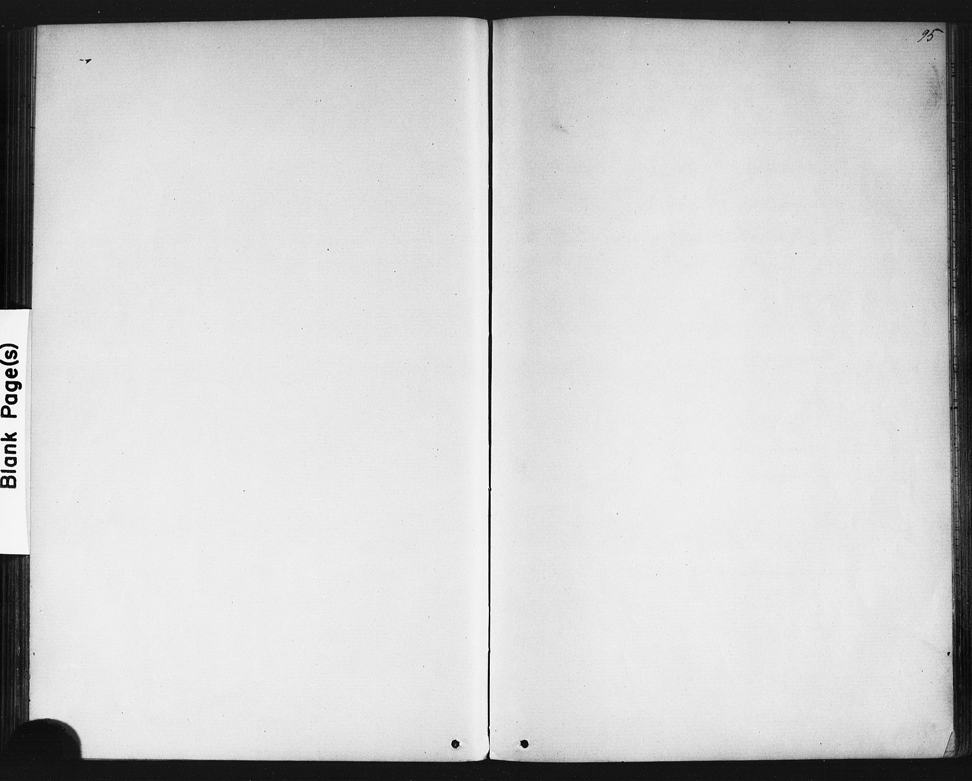 Eidsvoll prestekontor Kirkebøker, AV/SAO-A-10888/G/Gb/L0002: Parish register (copy) no. II 2, 1877-1897, p. 95