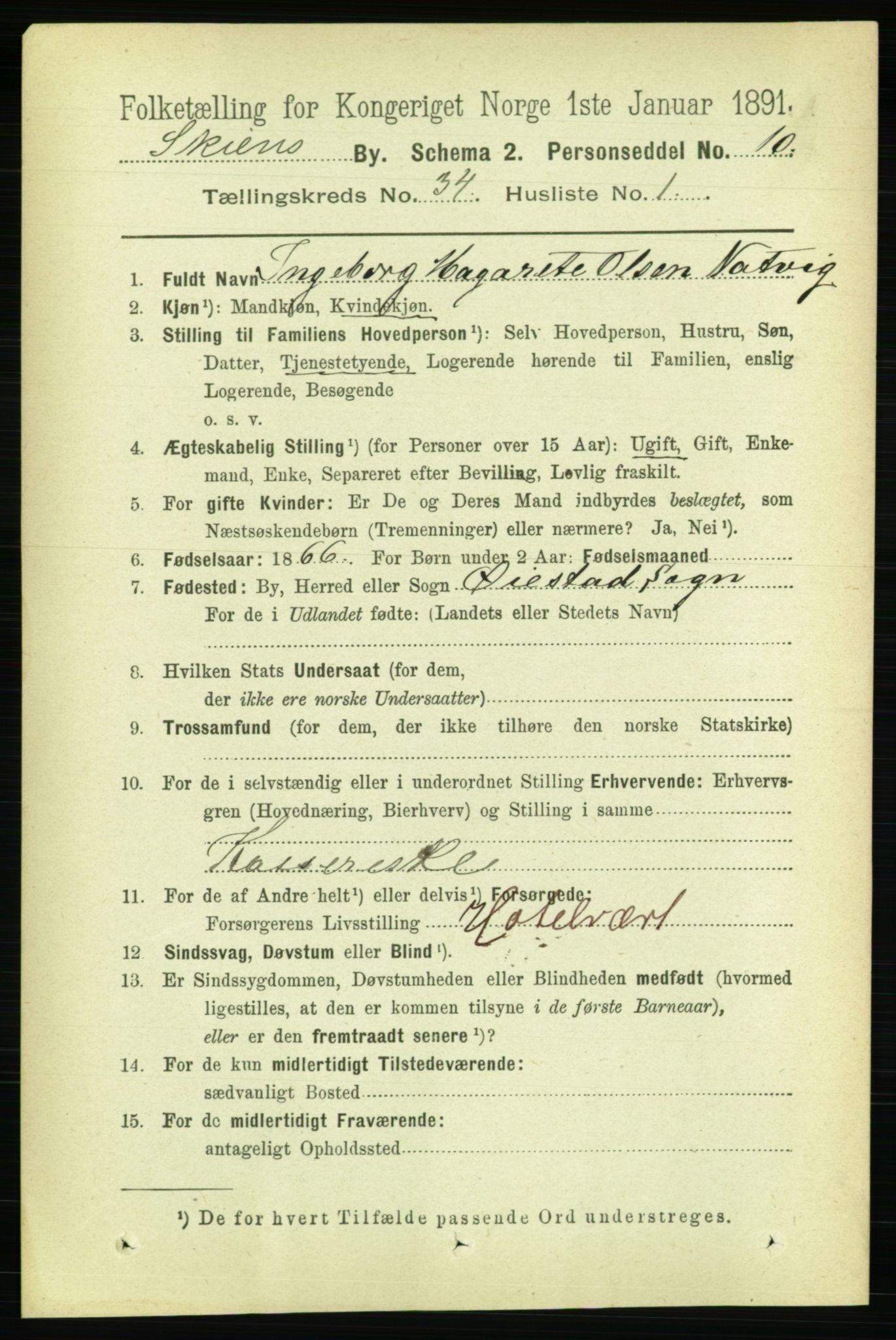 RA, 1891 census for 0806 Skien, 1891, p. 7717