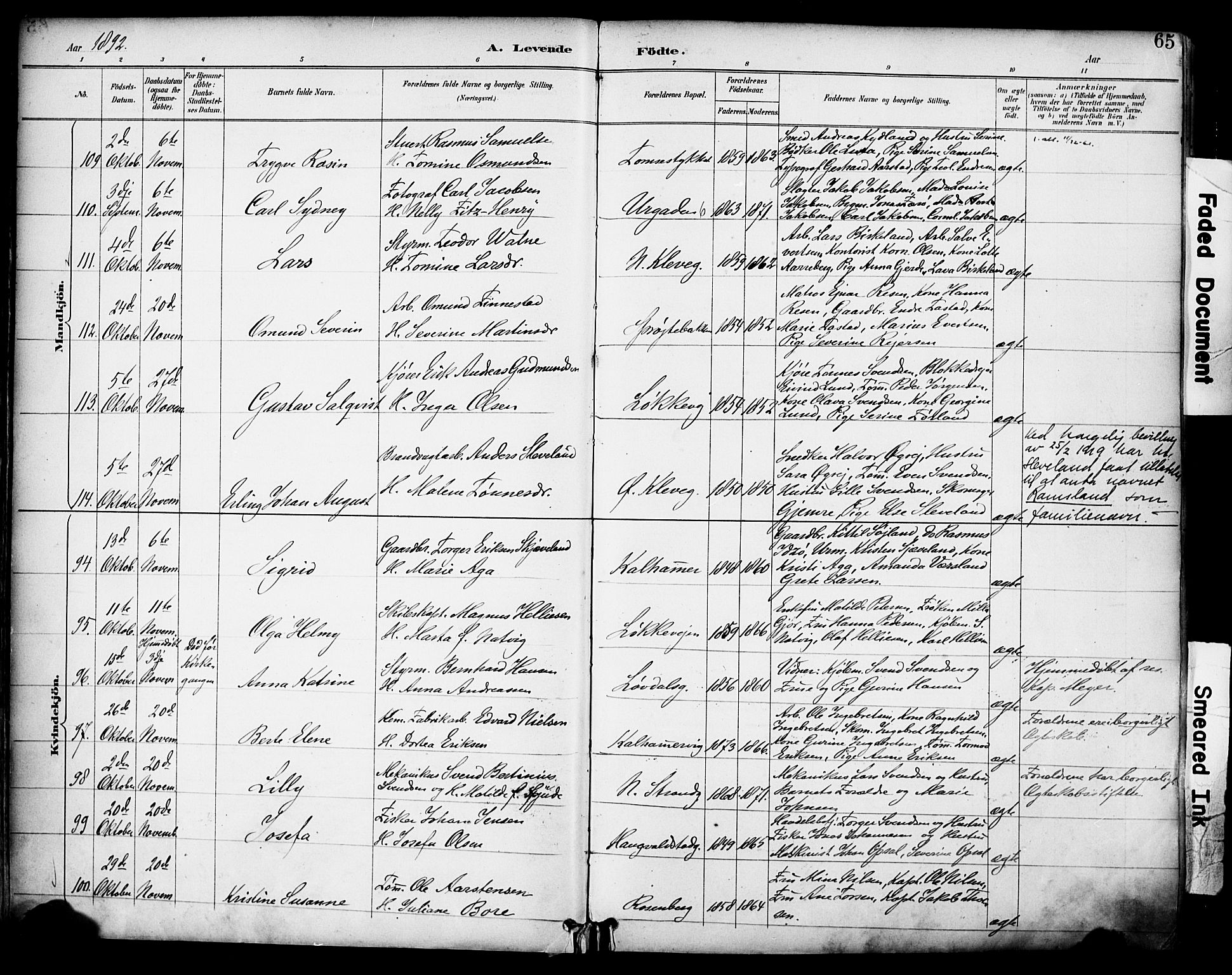 Domkirken sokneprestkontor, AV/SAST-A-101812/001/30/30BA/L0030: Parish register (official) no. A 29, 1889-1902, p. 65