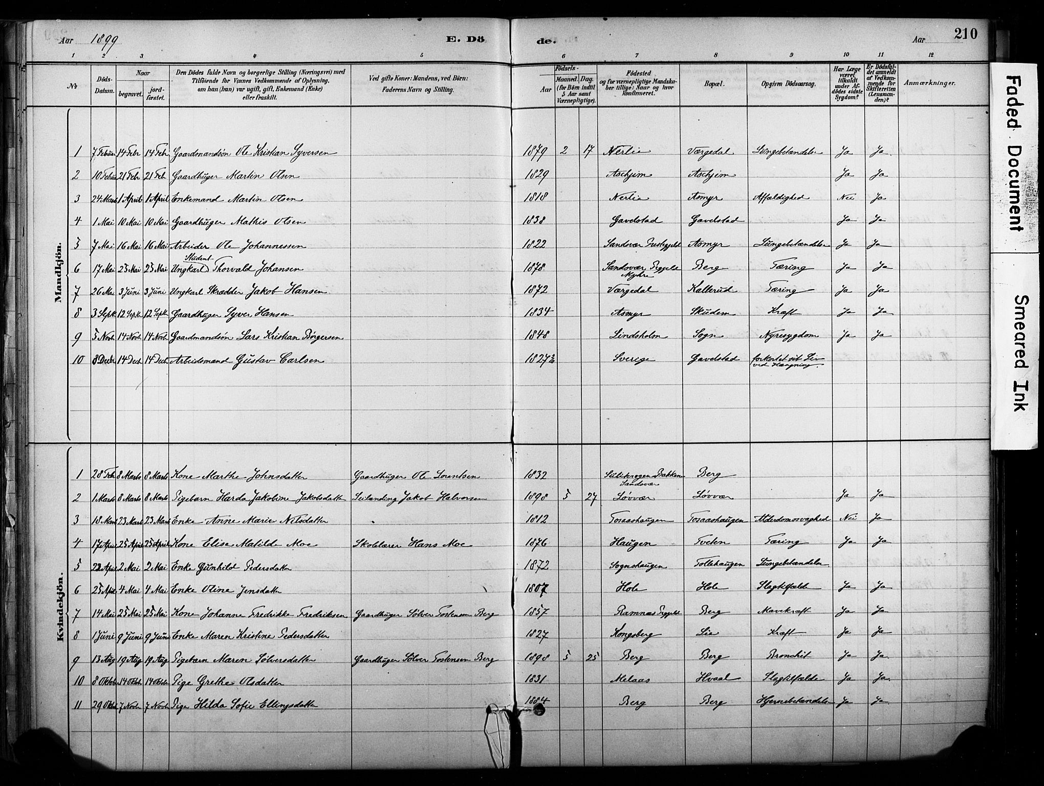 Lardal kirkebøker, AV/SAKO-A-350/F/Fb/L0001: Parish register (official) no. II 1, 1881-1911, p. 210