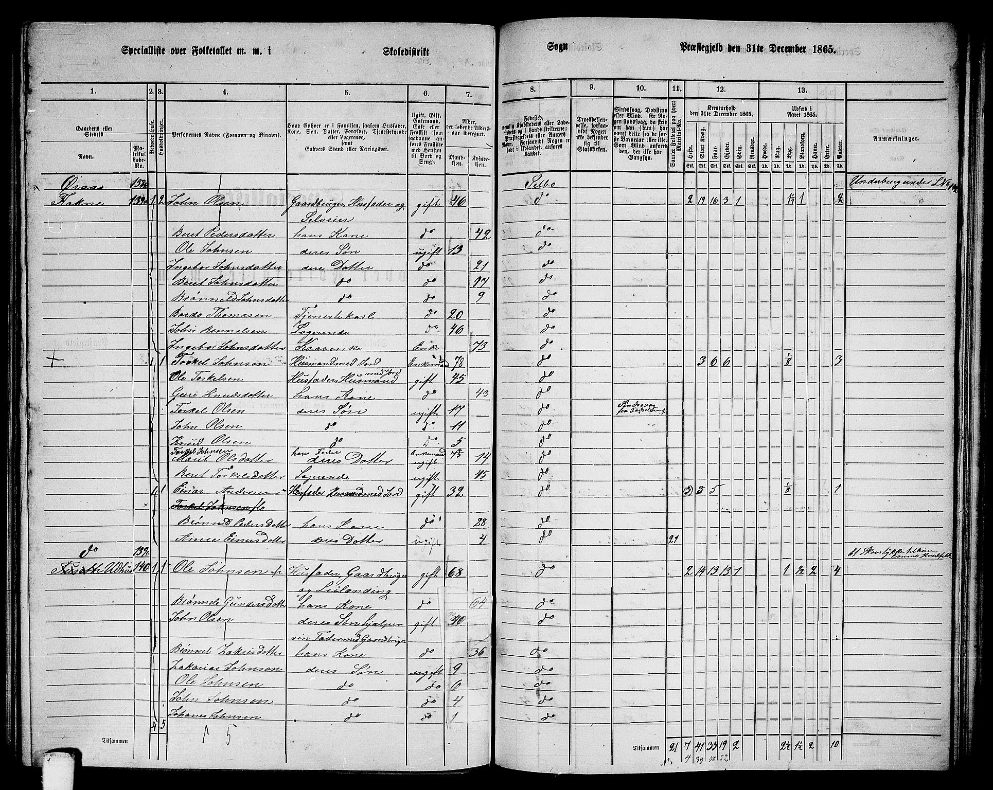 RA, 1865 census for Selbu, 1865, p. 147