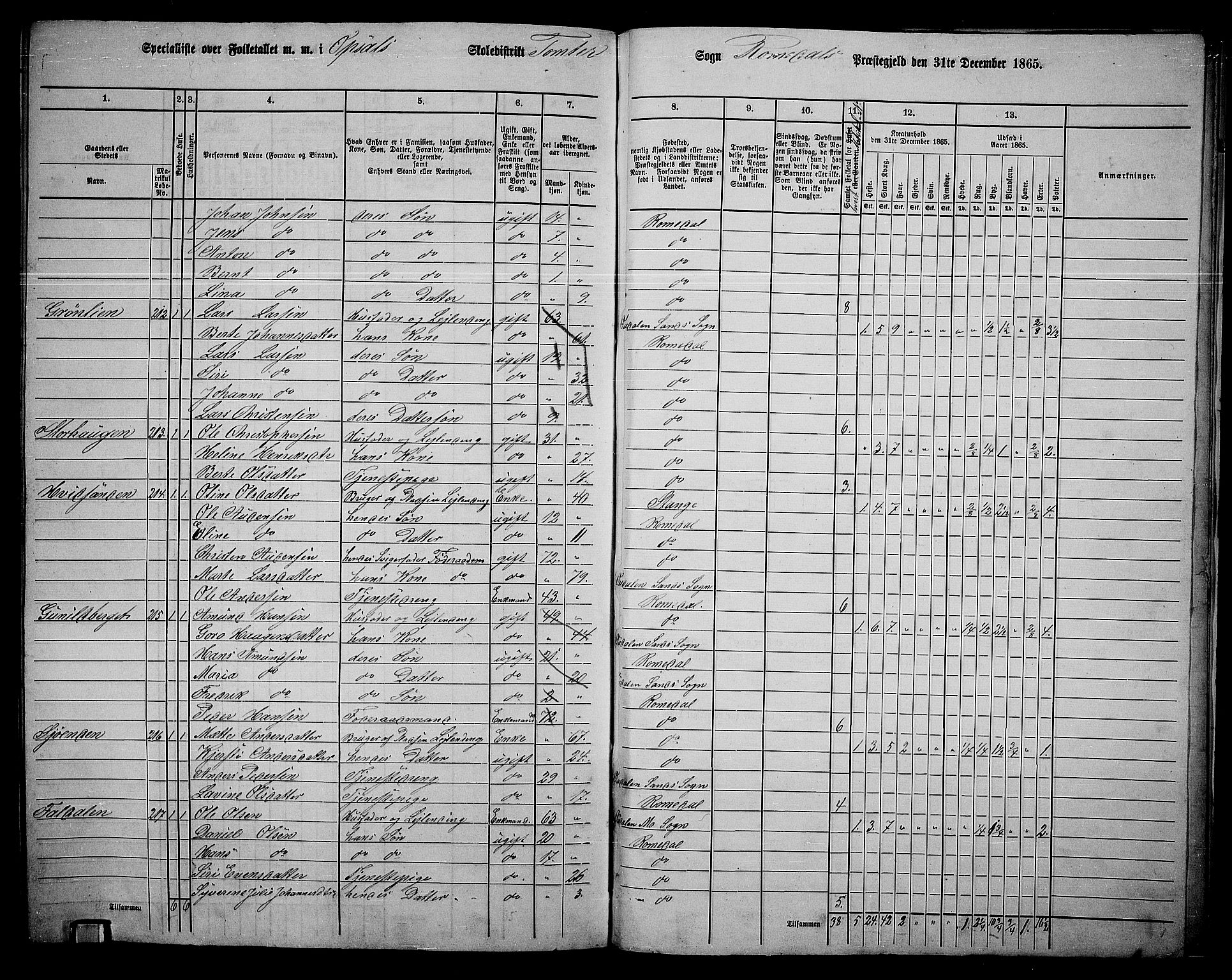 RA, 1865 census for Romedal, 1865, p. 198