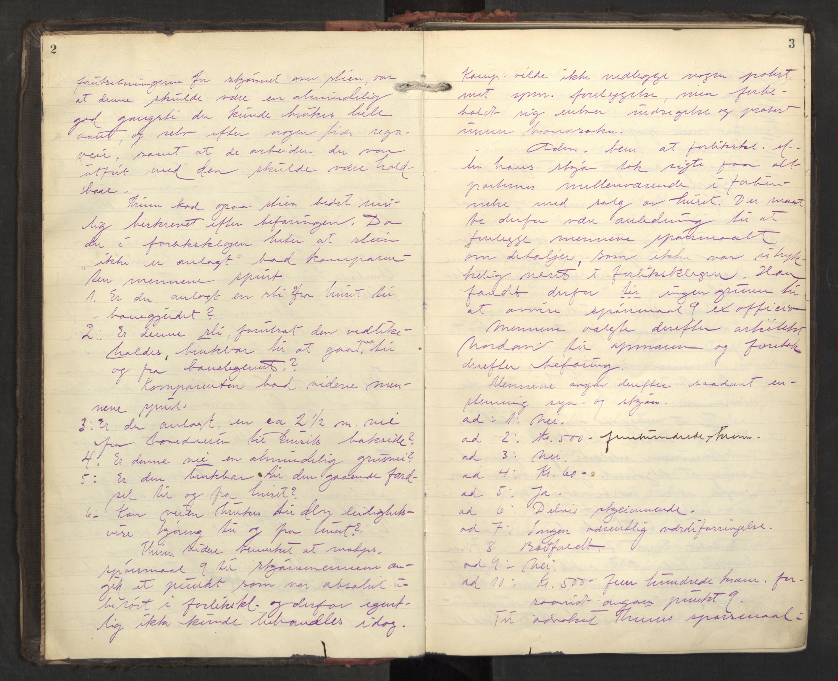 Aker sorenskriveri, AV/SAO-A-10895/F/Fc/Fcb/L0083: Ekstrarettsprotokoll, 1919-1921, p. 2-3