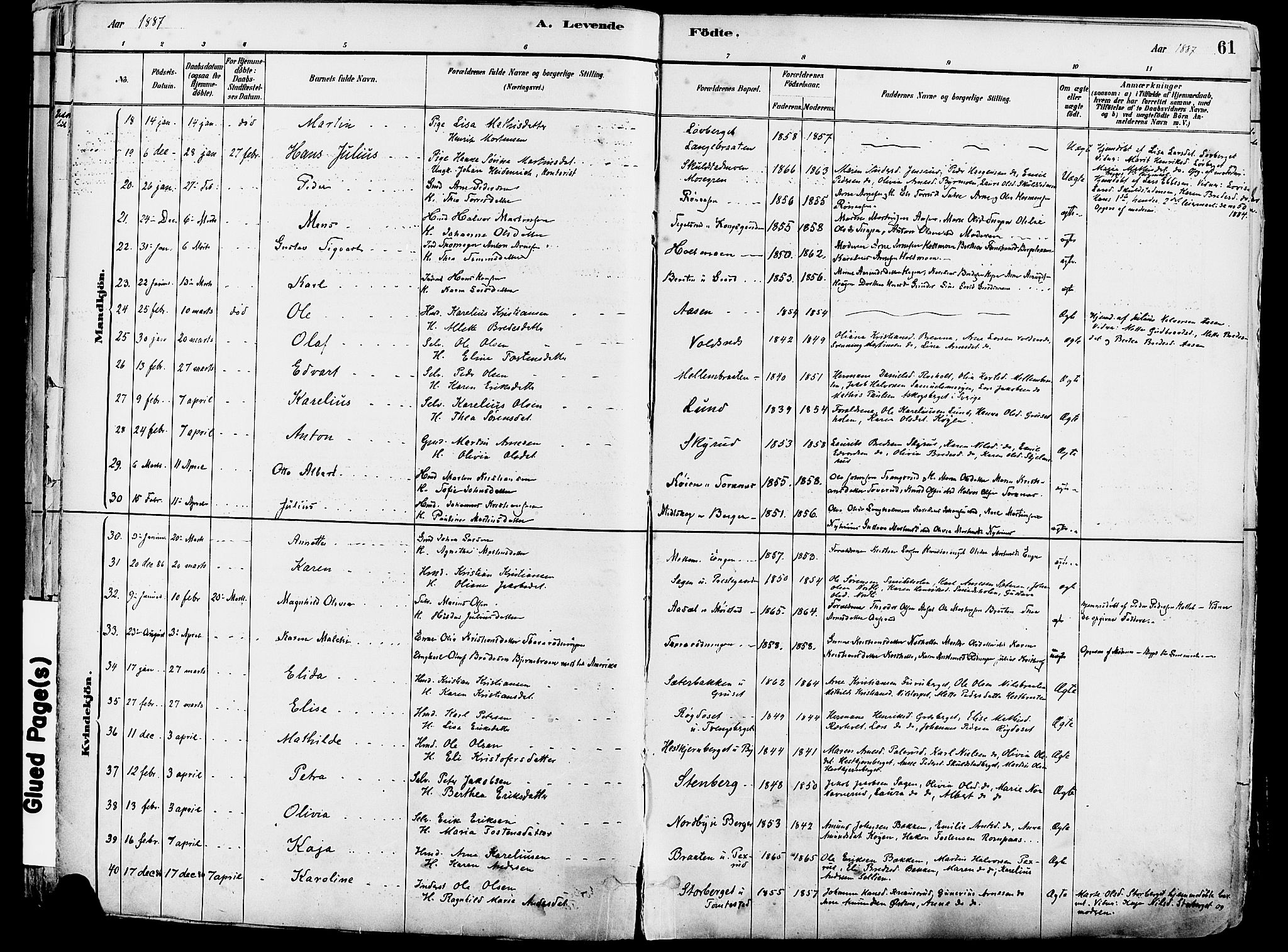 Grue prestekontor, AV/SAH-PREST-036/H/Ha/Haa/L0012: Parish register (official) no. 12, 1881-1897, p. 61