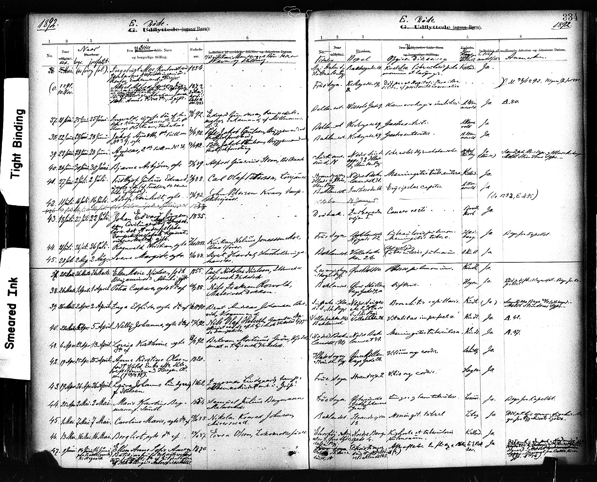 Ministerialprotokoller, klokkerbøker og fødselsregistre - Sør-Trøndelag, AV/SAT-A-1456/604/L0189: Parish register (official) no. 604A10, 1878-1892, p. 334