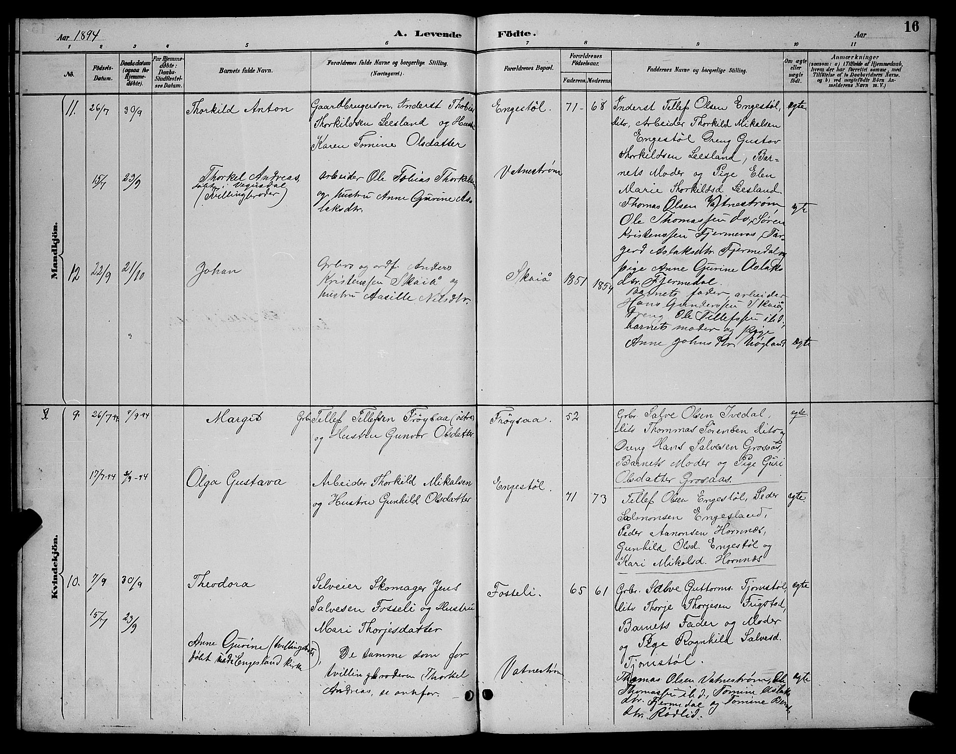 Evje sokneprestkontor, AV/SAK-1111-0008/F/Fb/Fbc/L0004: Parish register (copy) no. B 4, 1890-1900, p. 16