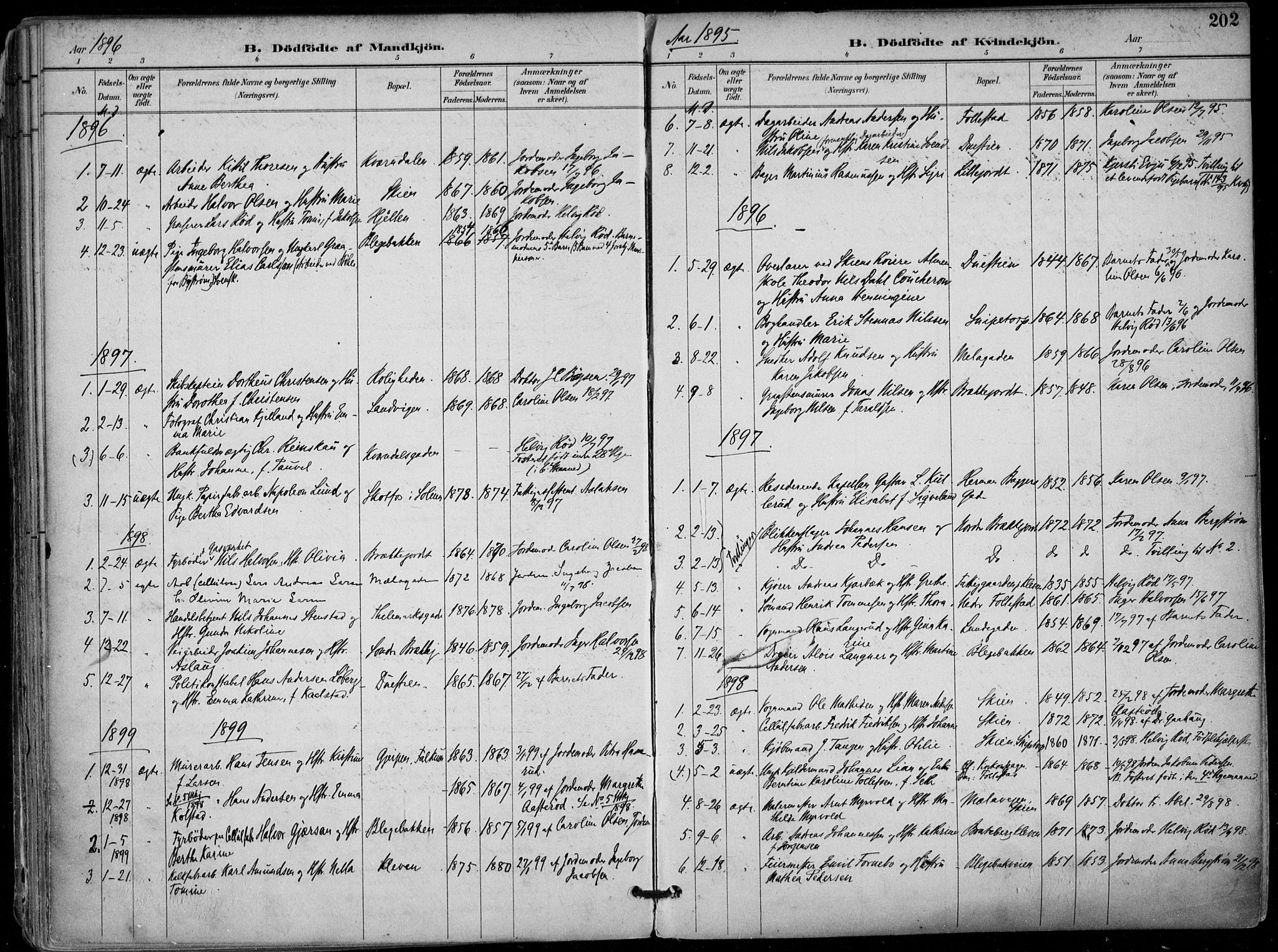 Skien kirkebøker, SAKO/A-302/F/Fa/L0010: Parish register (official) no. 10, 1891-1899, p. 202